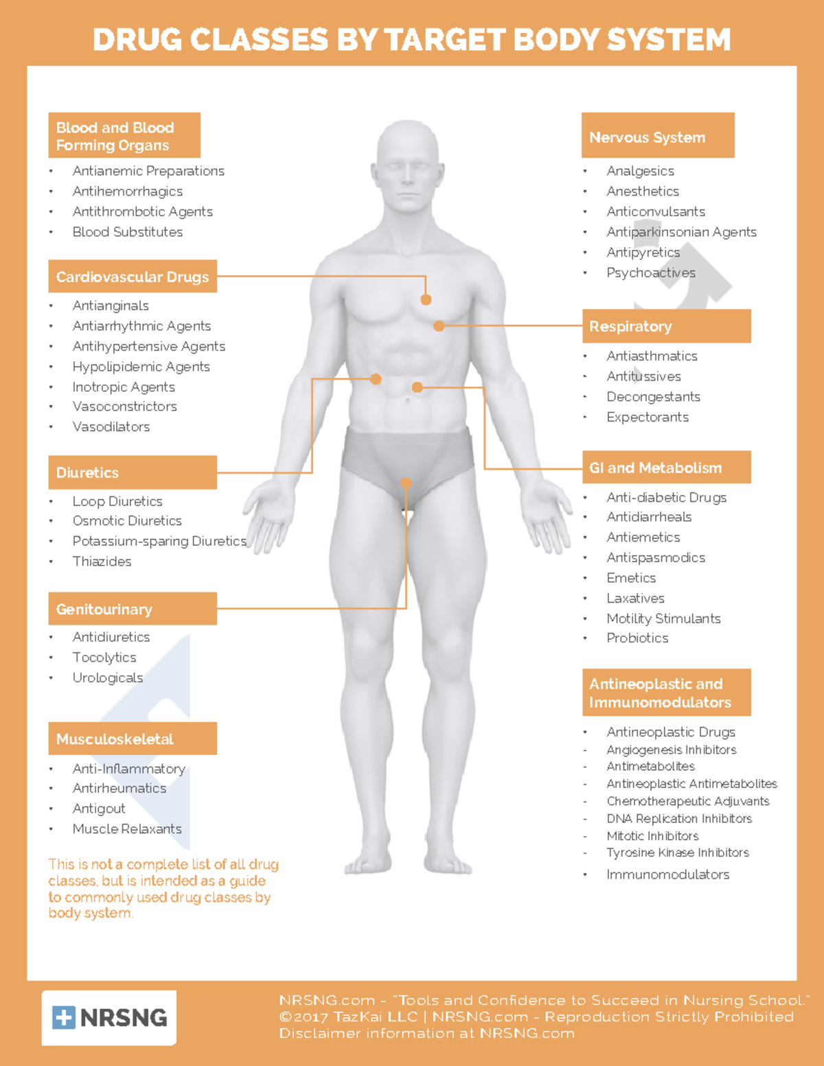 Pharm-1.29-Drug-Classes-by-Body-System - NRSNG - “Tools and Confidence ...