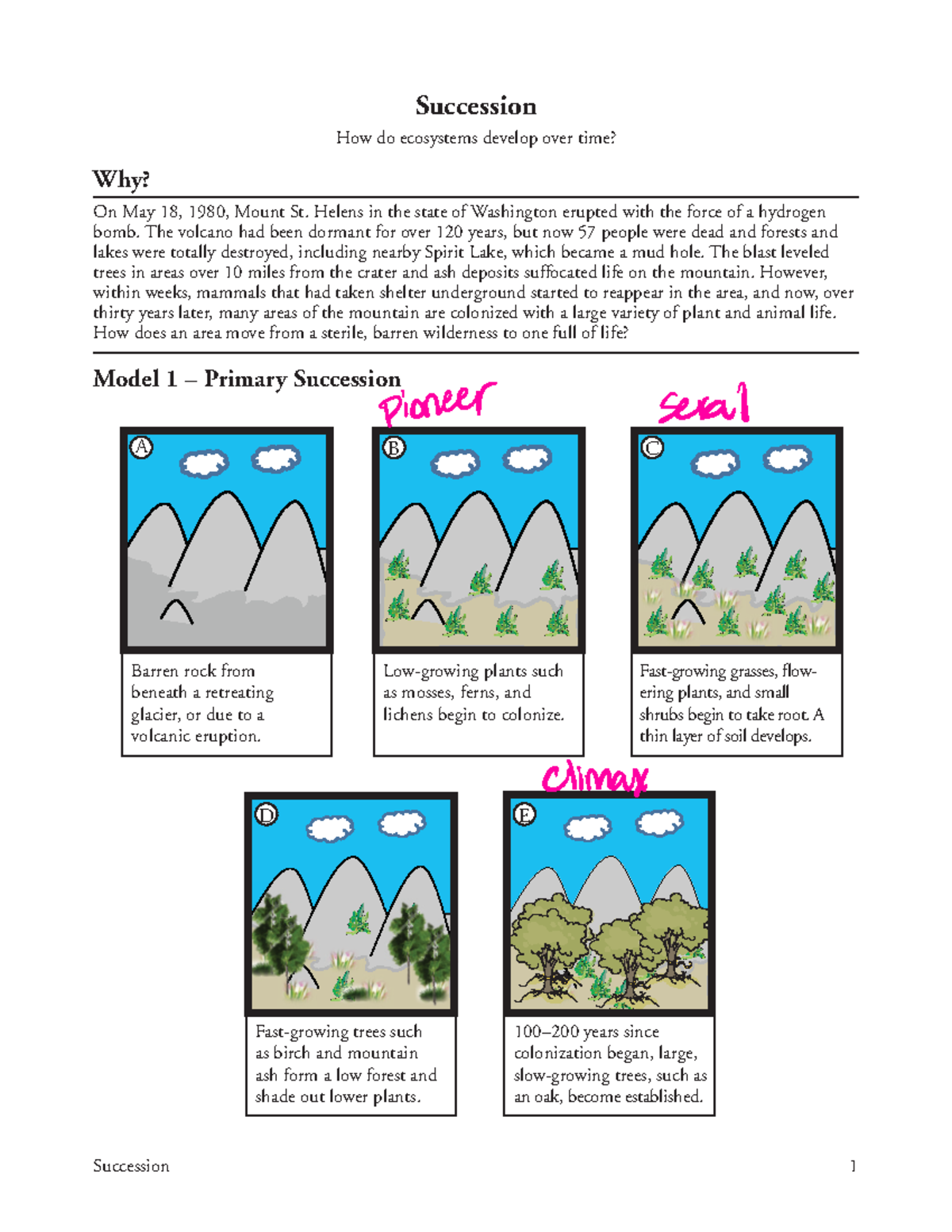 27+Succession-S - Succession 1 Succession How do ecosystems develop ...