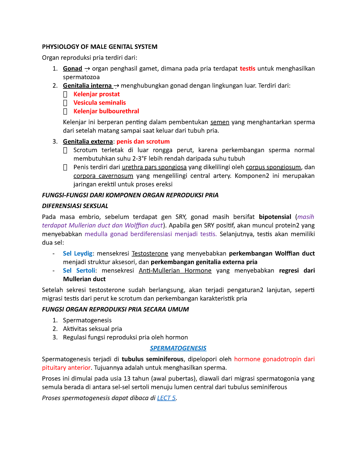 lect-6-physiology-of-male-genital-system-physiology-of-male-genital