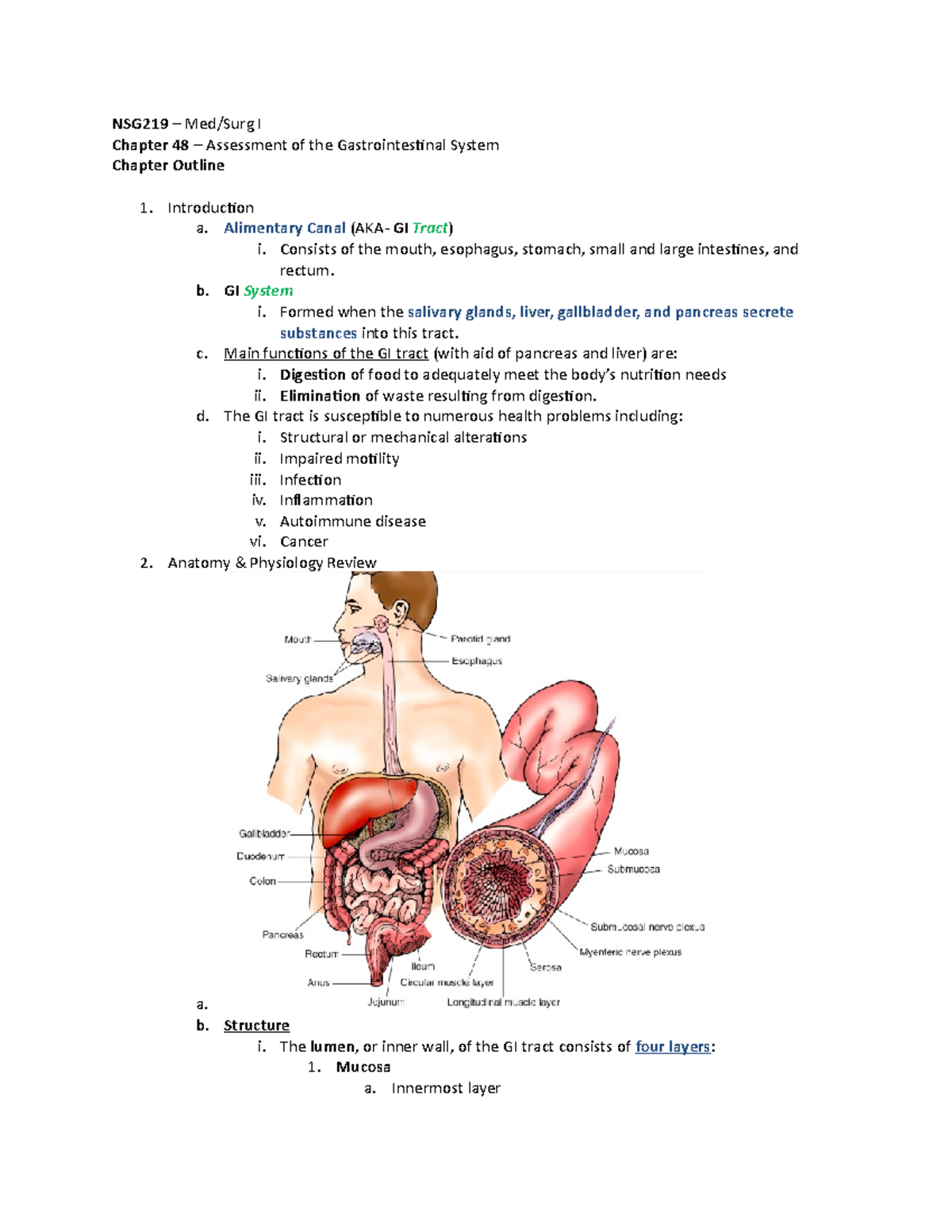 Nsg219 Ch 48 Gi Assessment Outline Nsg219 Med Surg I Chapter 48