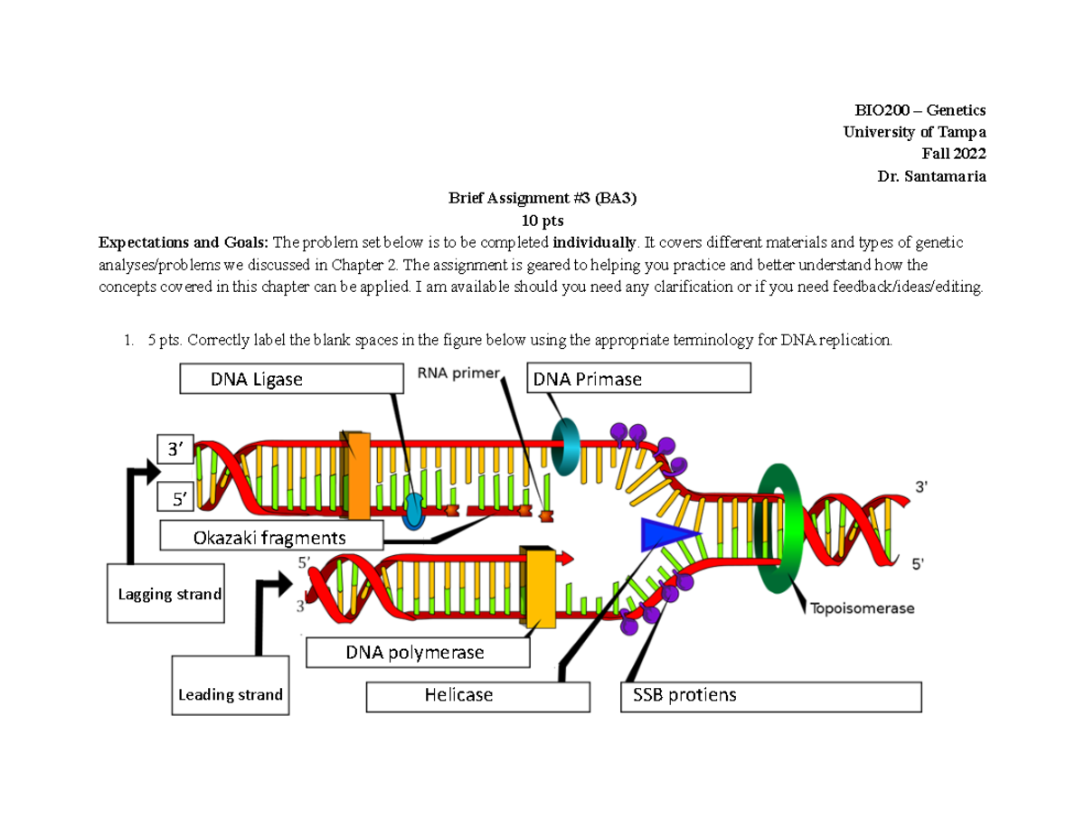 BIO200BA3Fall2022 replication labelling assignment University of