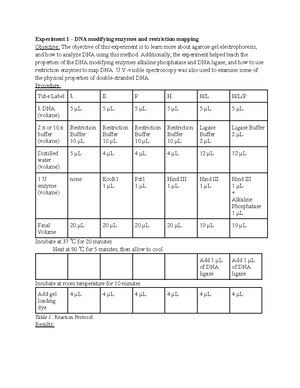 Chem 353 Experiment 1 Lab Report - Experiment 1 - Pipetting Exercise ...