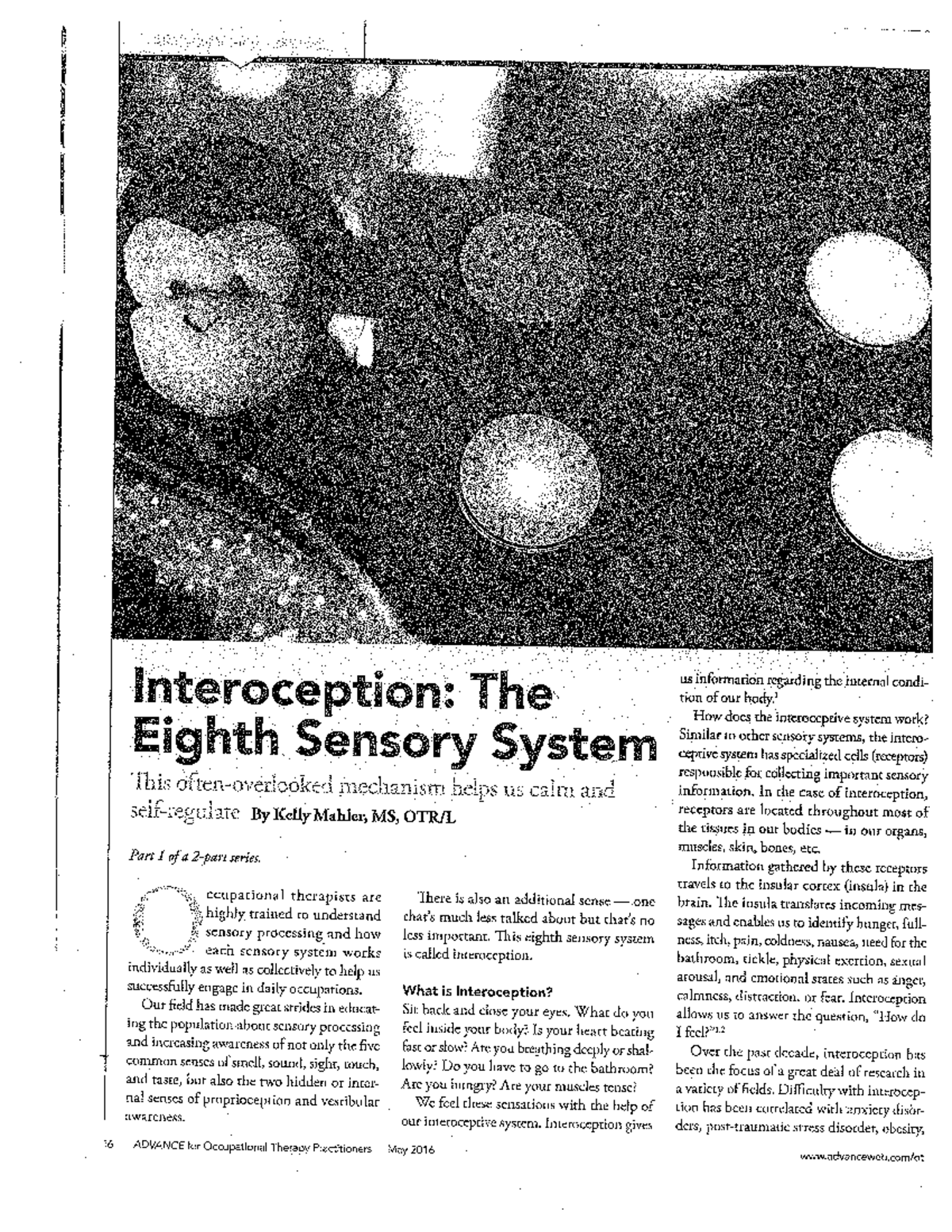 Interoception+Article - Nursing Foundation - Studocu