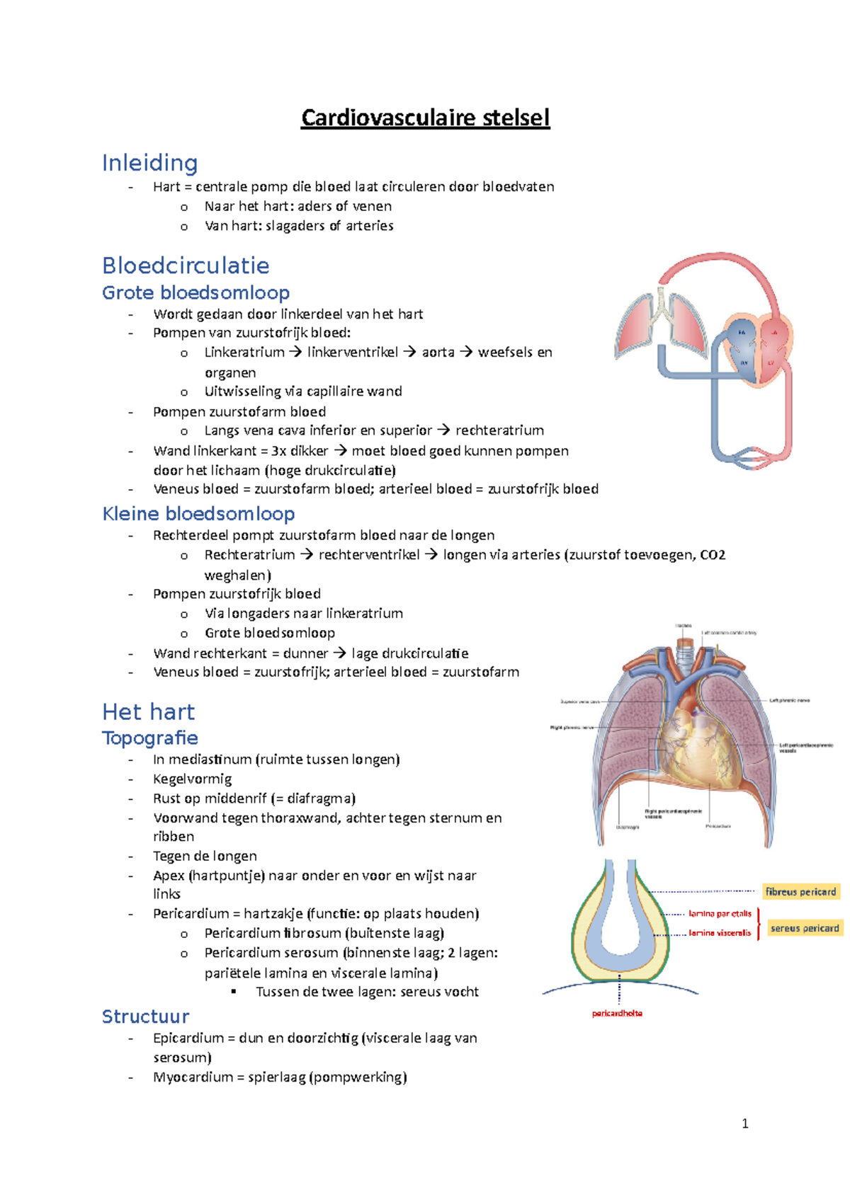 ZSO 2 Cardivasculair Stelsel - Cardiovasculaire Stelsel Inleiding Hart ...