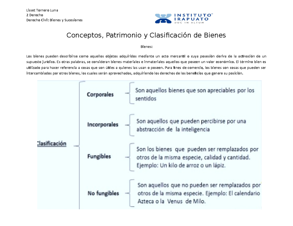 Clasificacion De Bienes Lisset Tornero Luna Derecho Derecho Civil Bienes Y Sucesiones Studocu