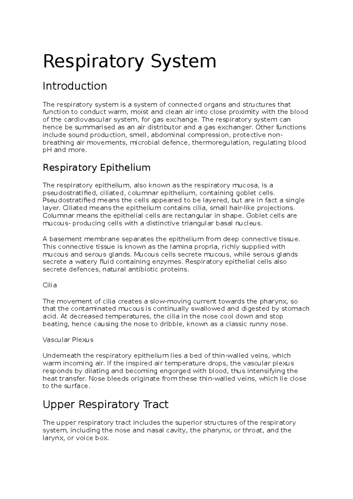 respiratory system essay definition