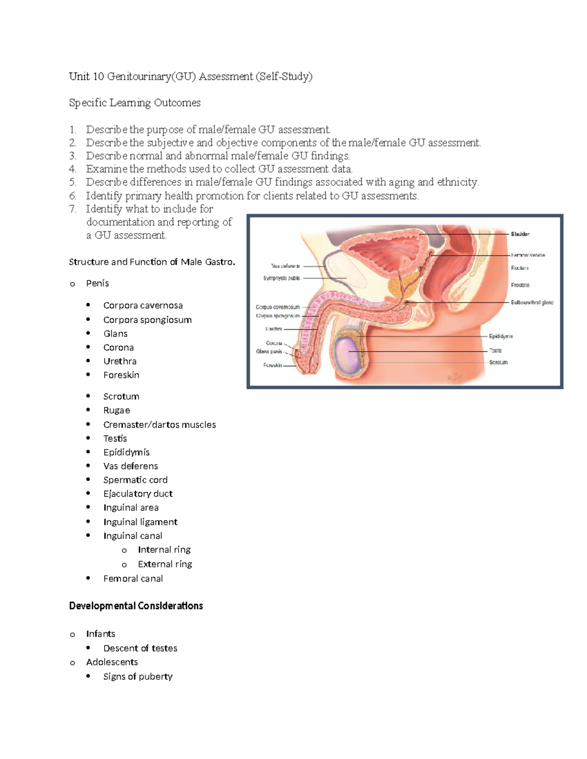 Unit 10 Genitourinary - These are notes make from the book from SLO ...