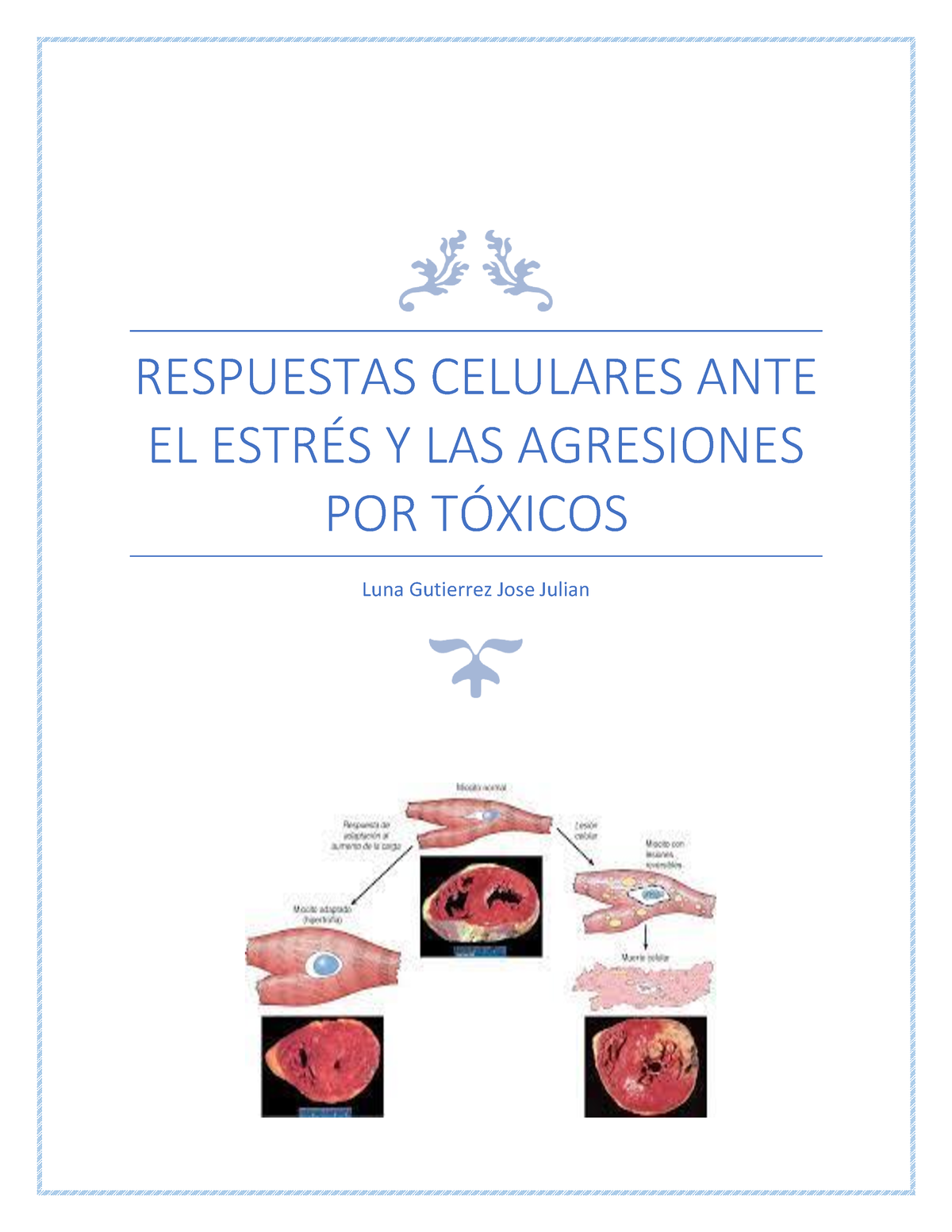 Respuestas Celulares Ante El Estrés Y Las Agresiones Por Tóxicos 12 ...