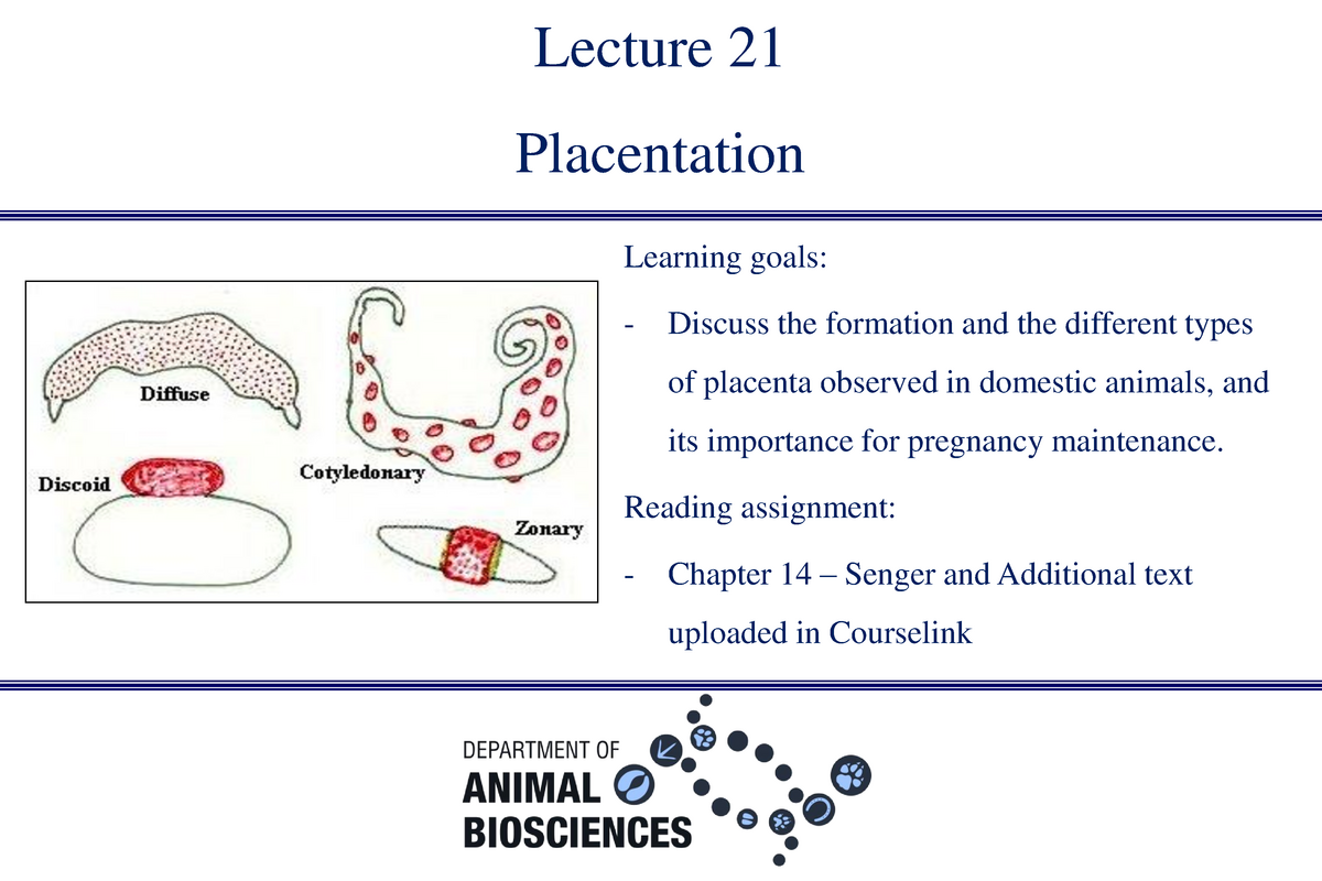 20-02-28 - Lecture 21 - Placentation - Lecture 21 Placentation Learning  goals: Discuss the formation - Studocu