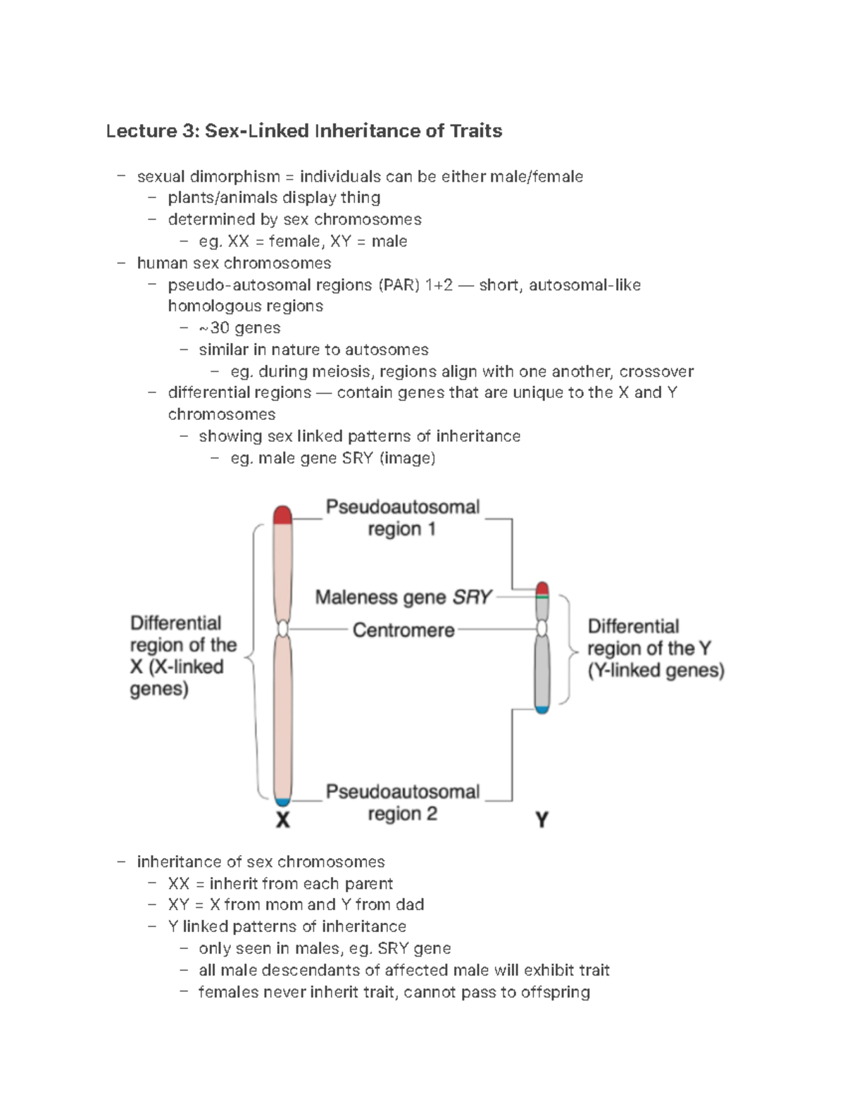 Lecture 3 Sex Linked Inheritance Of Traits