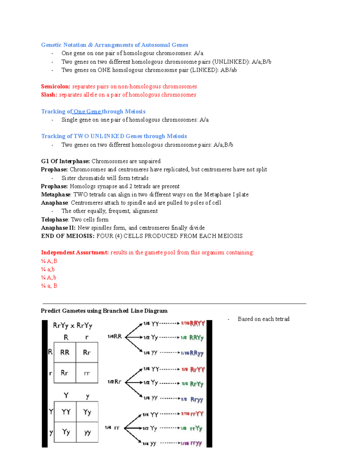 Inheritance of Unlinked Genes - Genetic Notation & Arrangements of ...