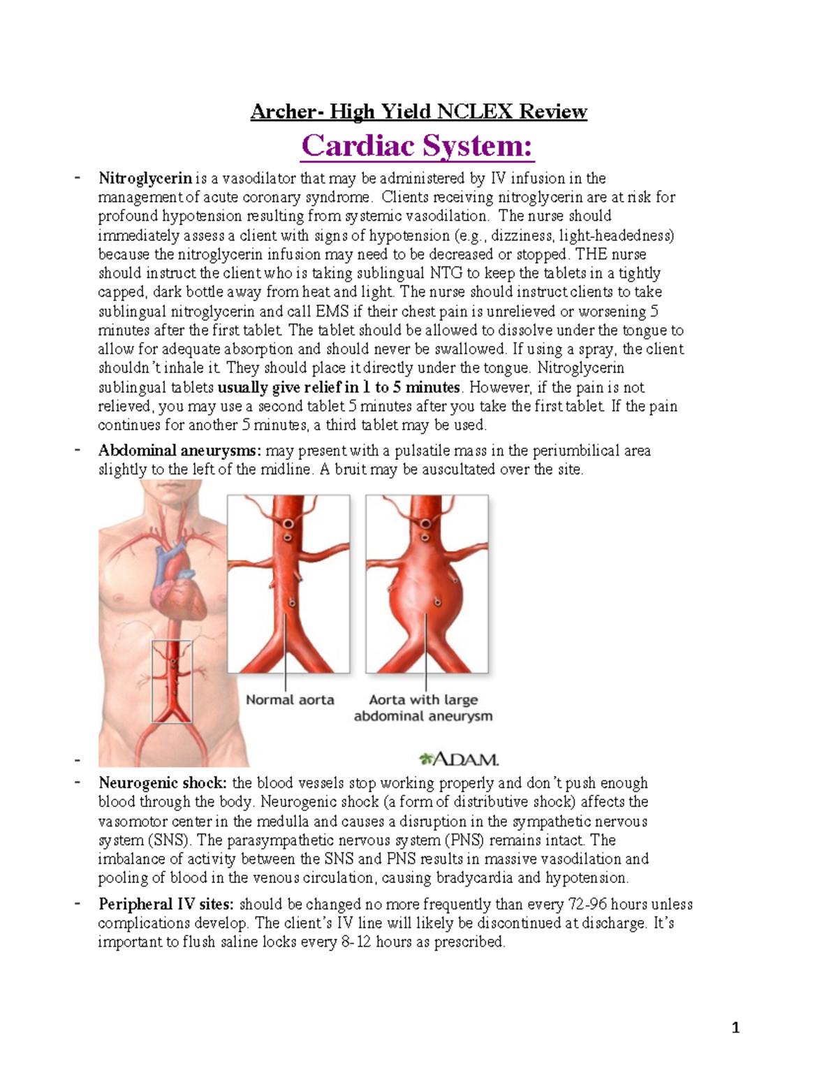 Is Archer Review Harder Than Nclex 80 - m64ghdj