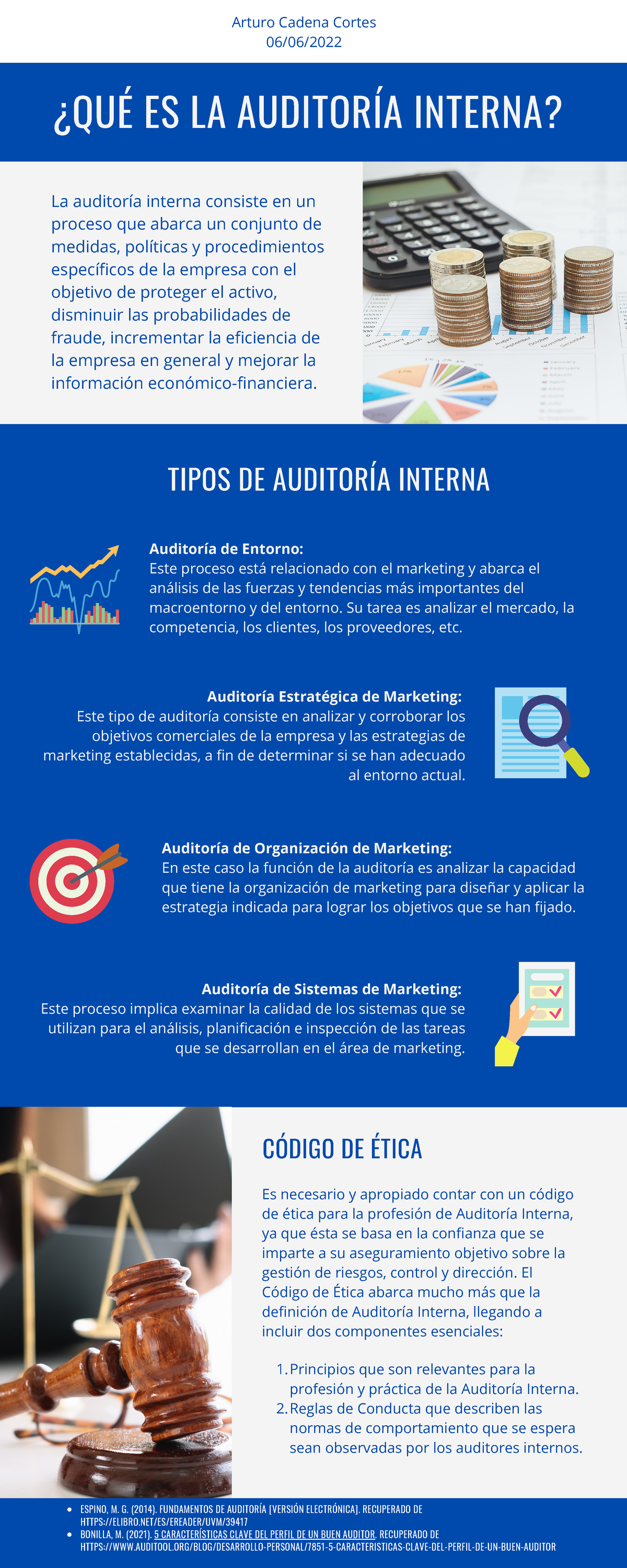 Infografia De Auditoria 0966