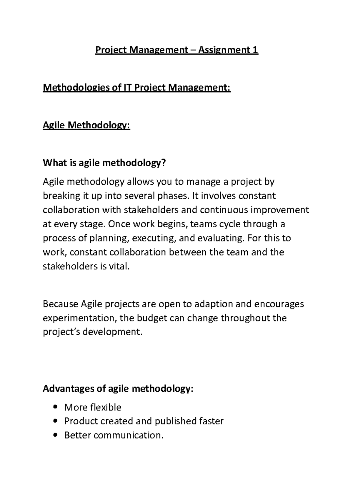 how to write an project management assignment