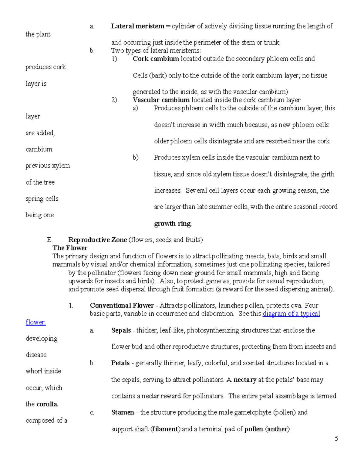 135 Armstrong Unit 2 a. Lateral meristem = cylinder of actively