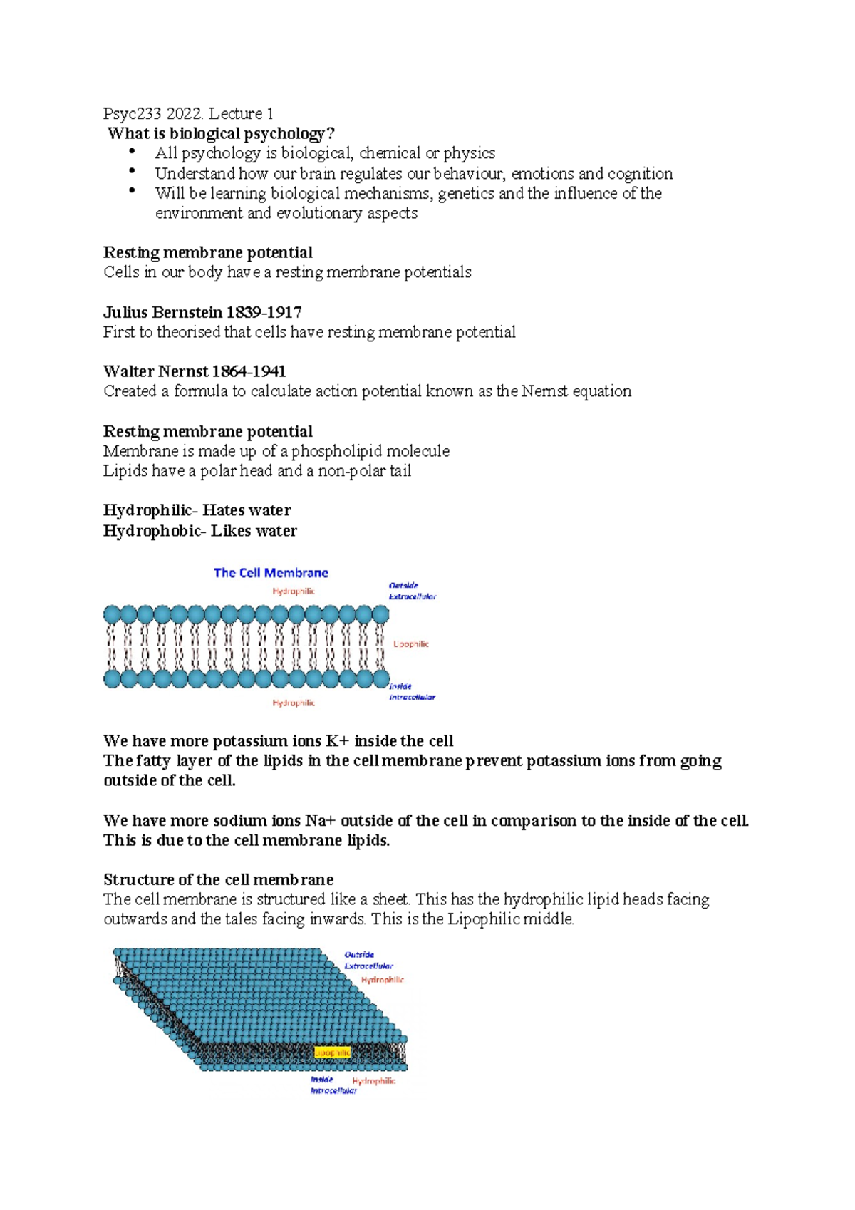 Membrane potential and action potentials - Psyc233 2022. Lecture 1 What ...