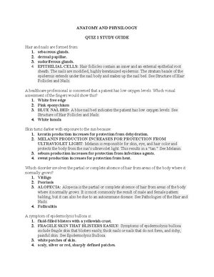 Anatomy visual data 7