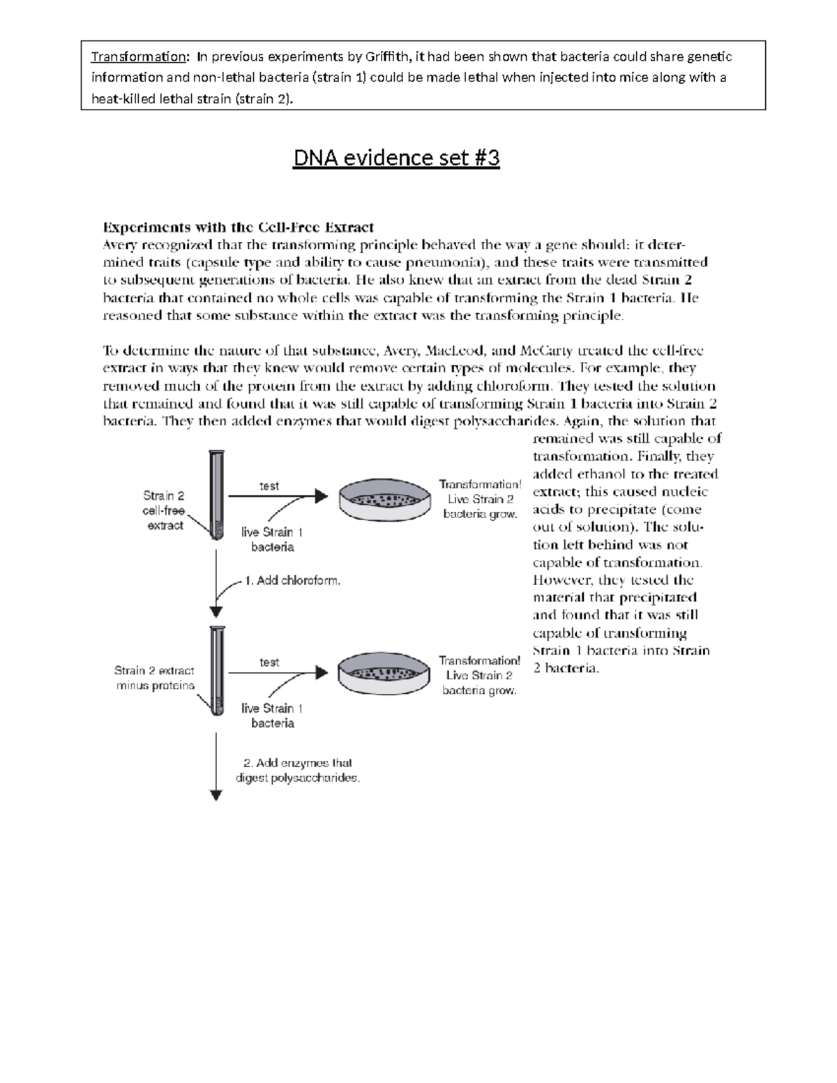 Evidence 3 - notes - BIO100 - DNA evidence set Transformation: In ...