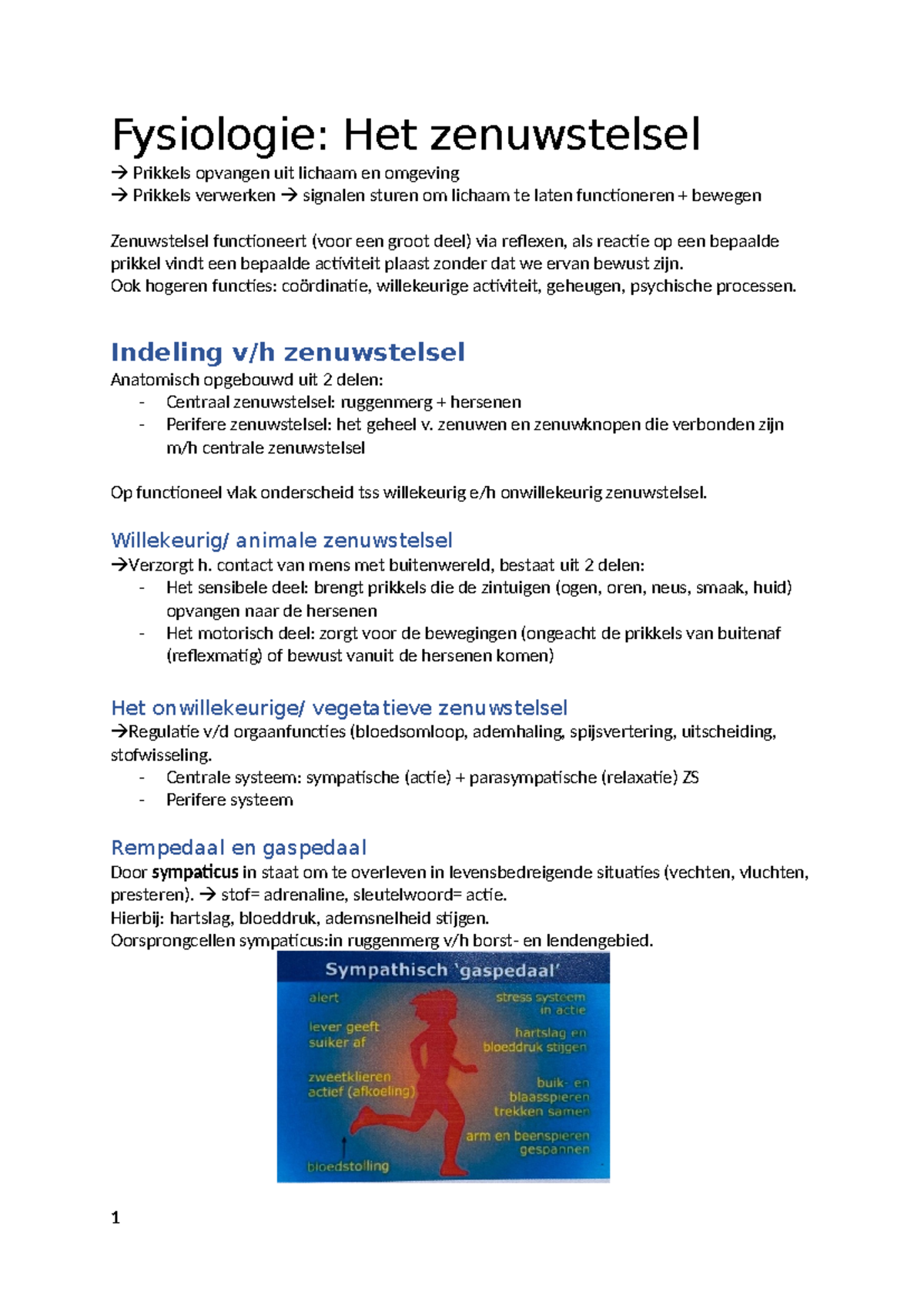 Zenuwstelsel Samenvatting - Fysiologie: Het Zenuwstelsel Prikkels ...