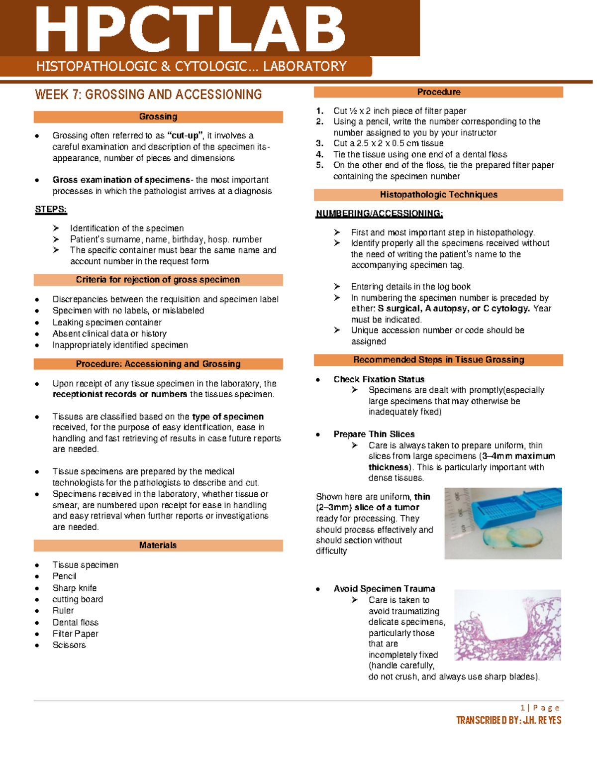 Week 7 Grossing and Accessioning - 1 | P a g e TRANSCRIBED BY: J. REYES ...