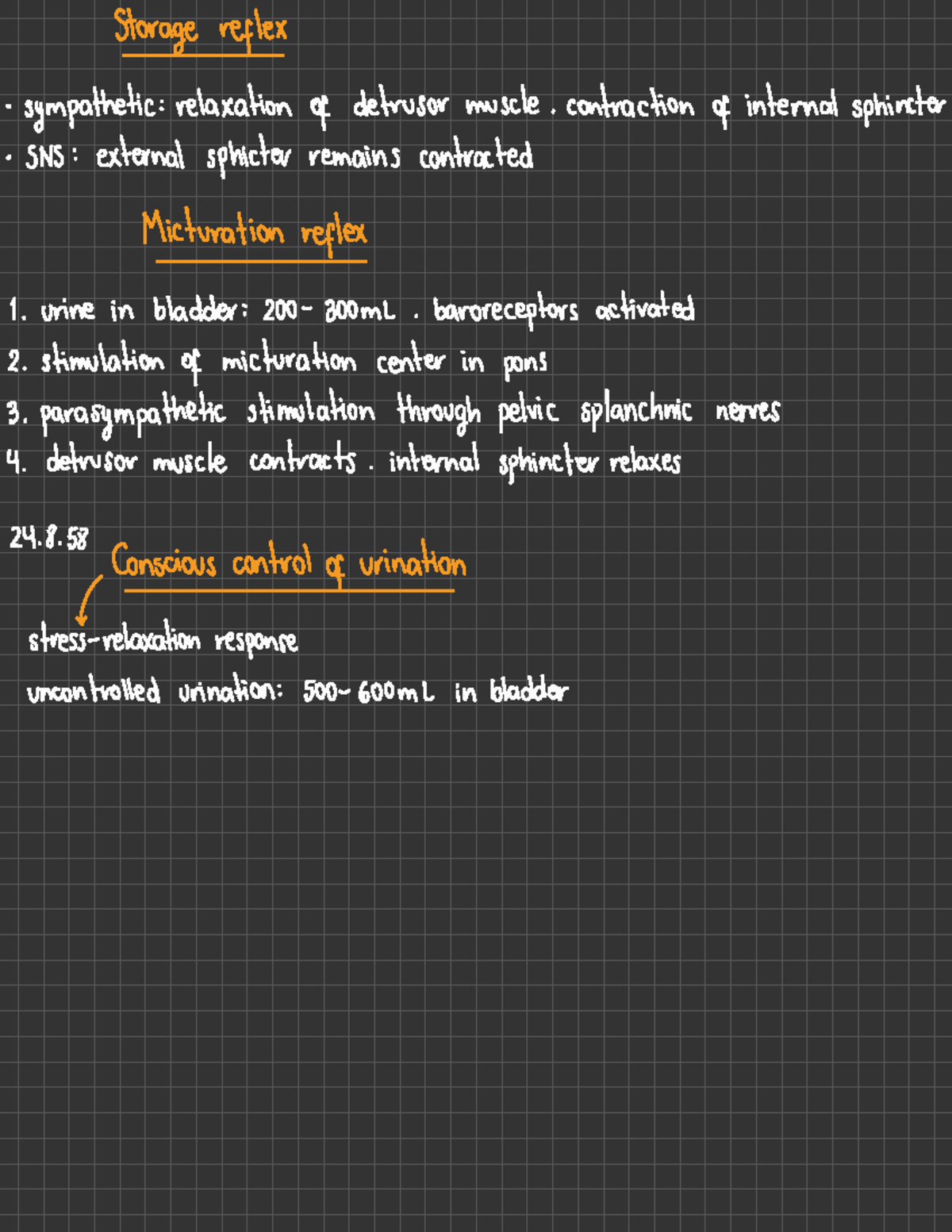 Chapter 28 - Reproductive System - Storage reflex · sympathetic ...