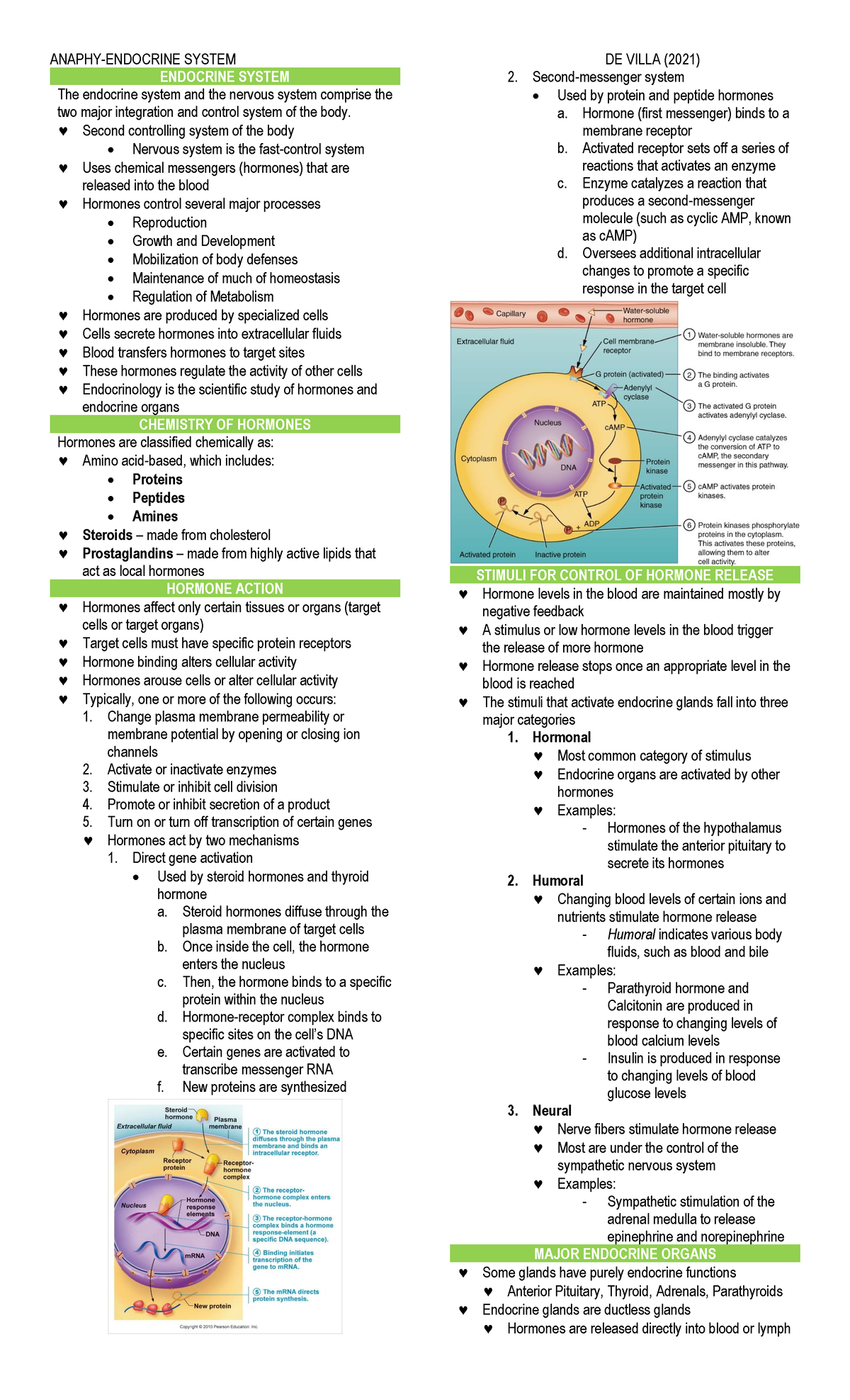 Endocrine System - Lecture notes 3 - ENDOCRINE SYSTEM The endocrine ...