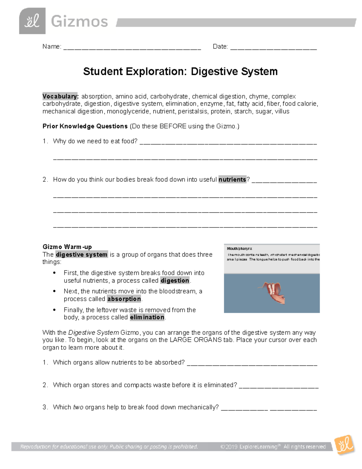 Digestive System SE Digestive System SE Digestive System SE - soci-1306 ...