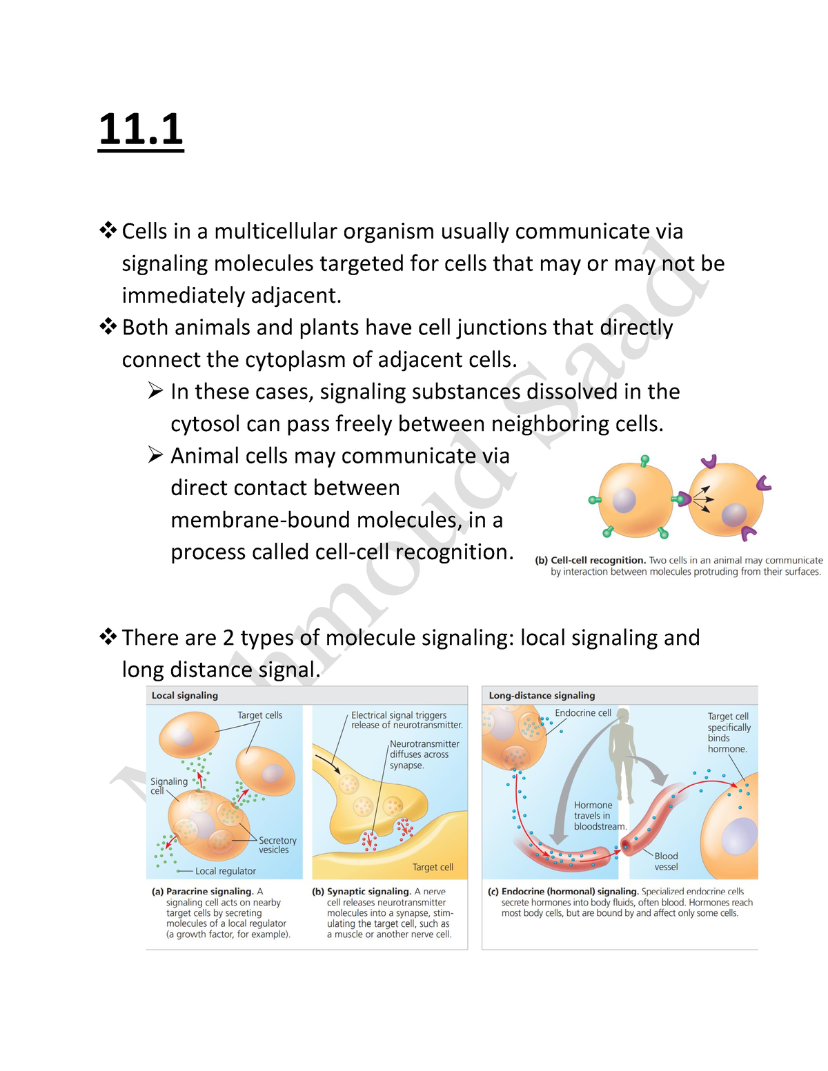 Chapter 11 Campbell Biology - 11. Cells In A Multicellular Organism ...