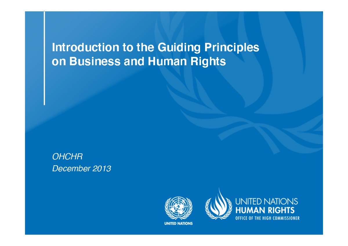 Introduction to the Guiding Principles on Business and Human Rights ...