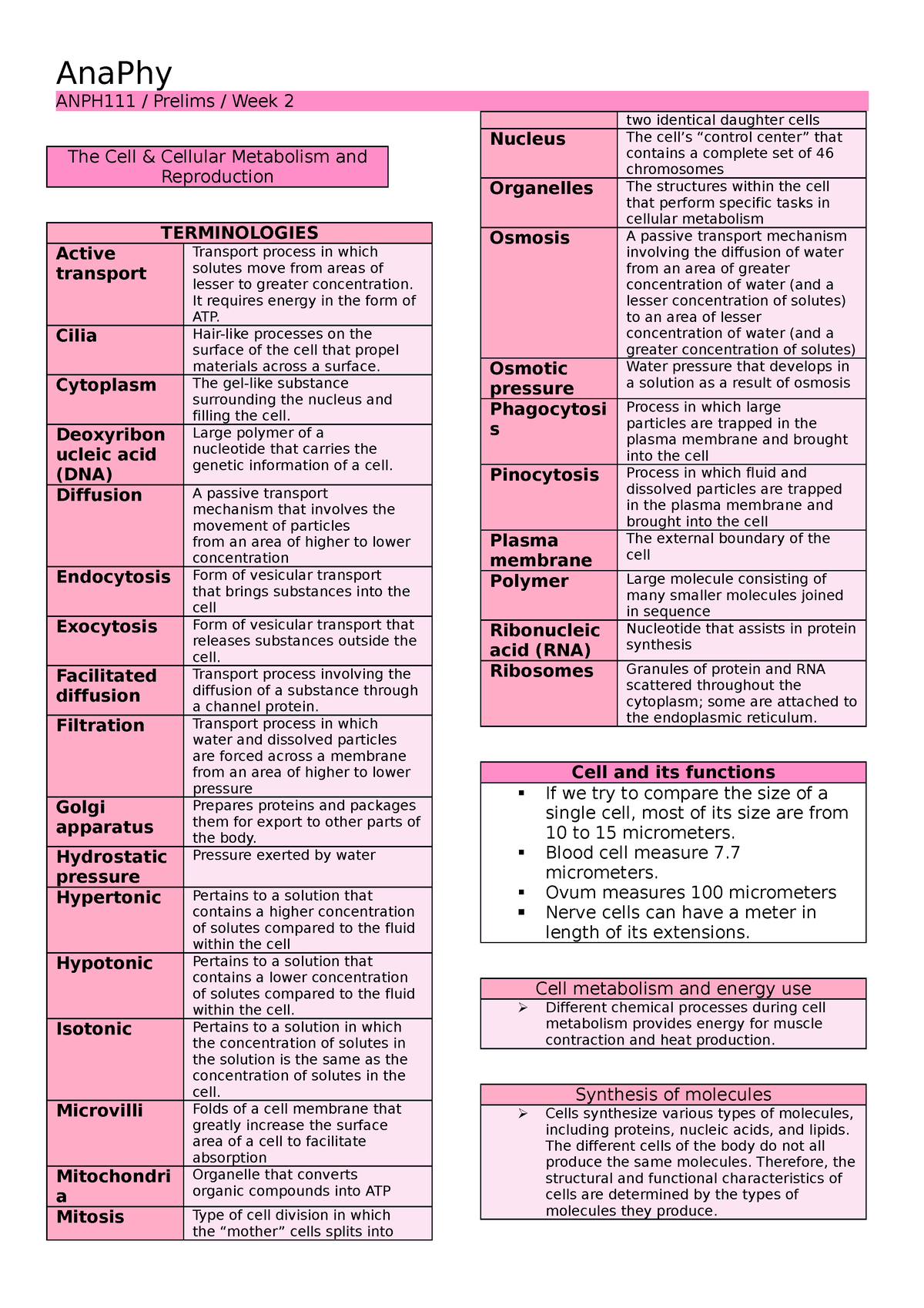 The Cell and Cellular Metabolism and Reproduction - ANPH111 / Prelims ...