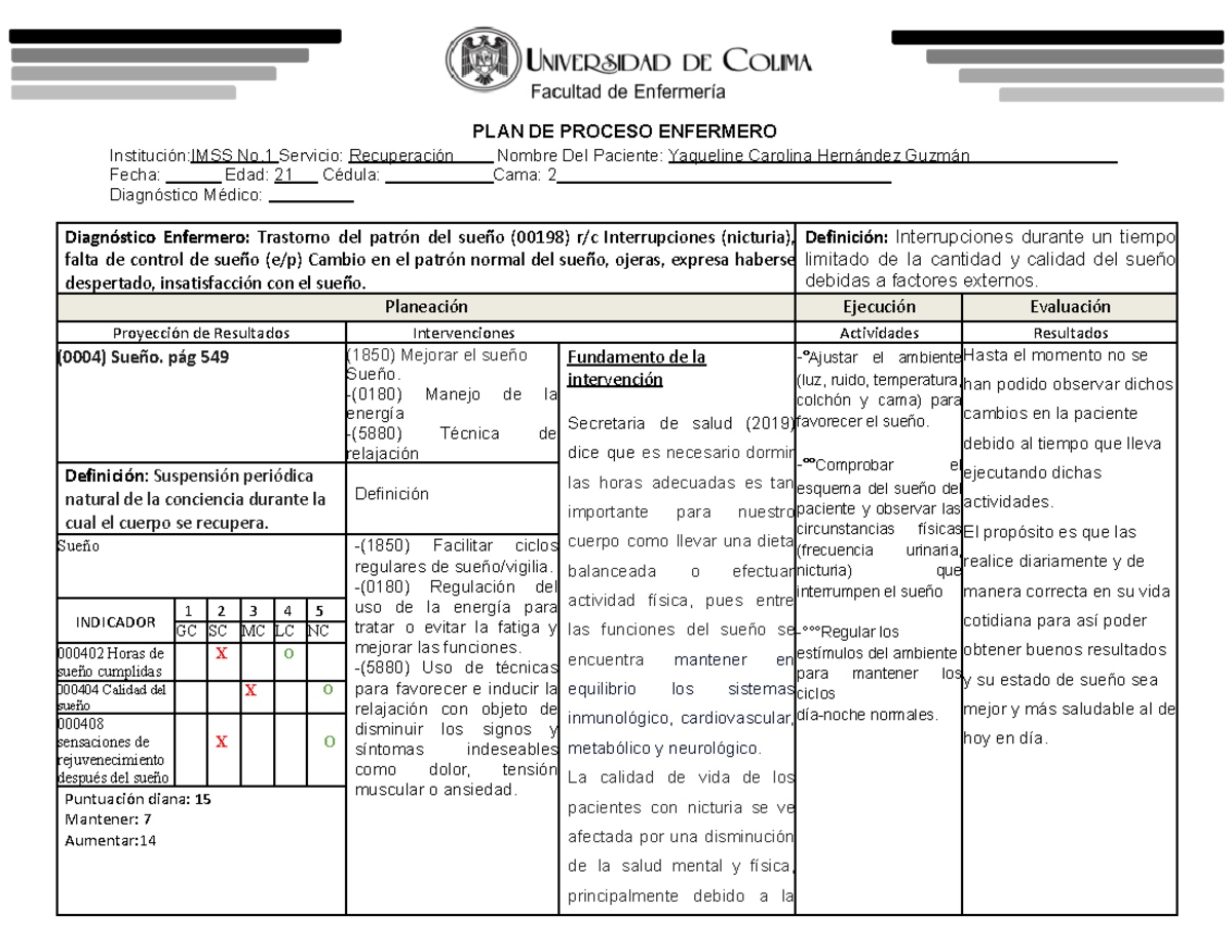 PLAN DE PAE (trastorno patron sueño) - PLAN DE PROCESO ENFERMERO ...