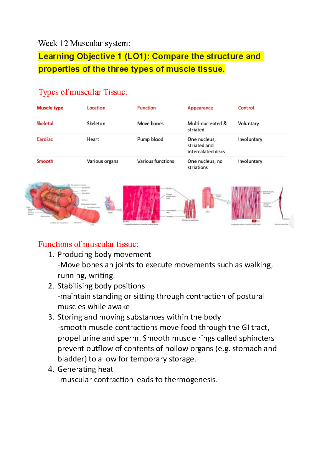 Week 12 Muscular system - Week 12 Muscular system: Learning Objective 1 ...