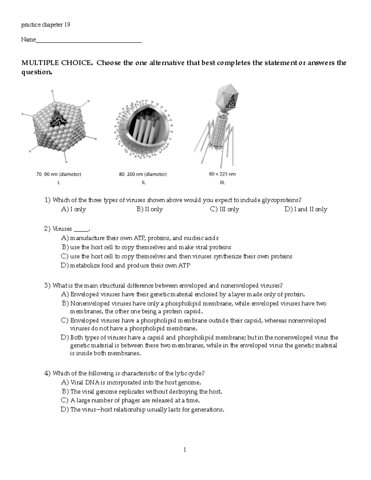 Practice Ch 19- Viruses - Practice Chapeter 19 Name ...