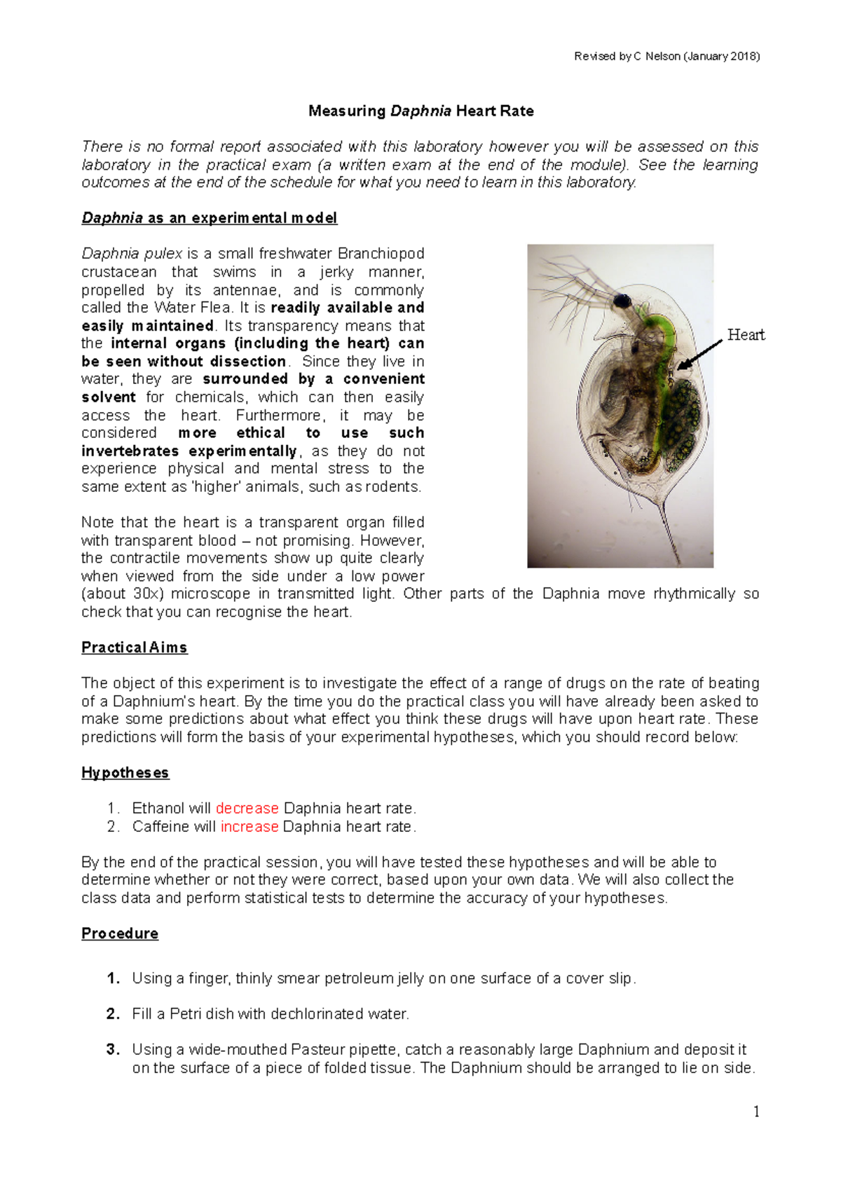 daphnia lab experiment