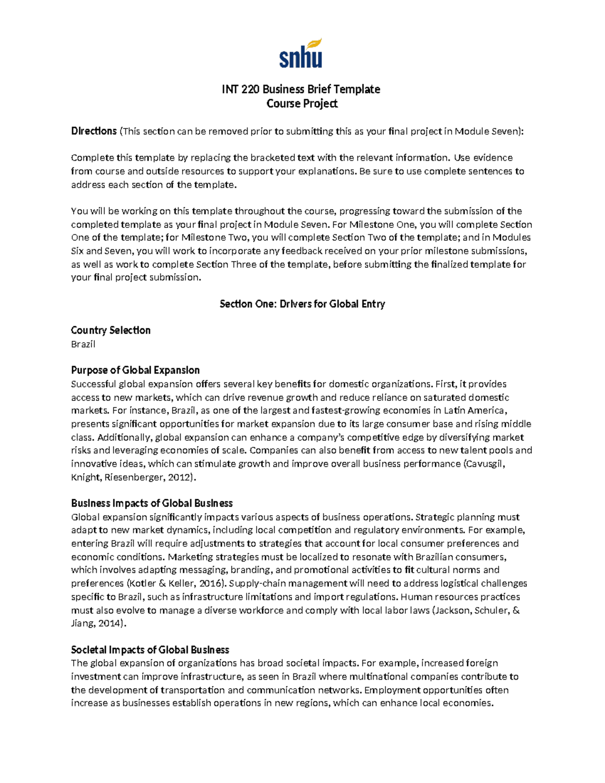 Int milestones int 220 business brief template course project