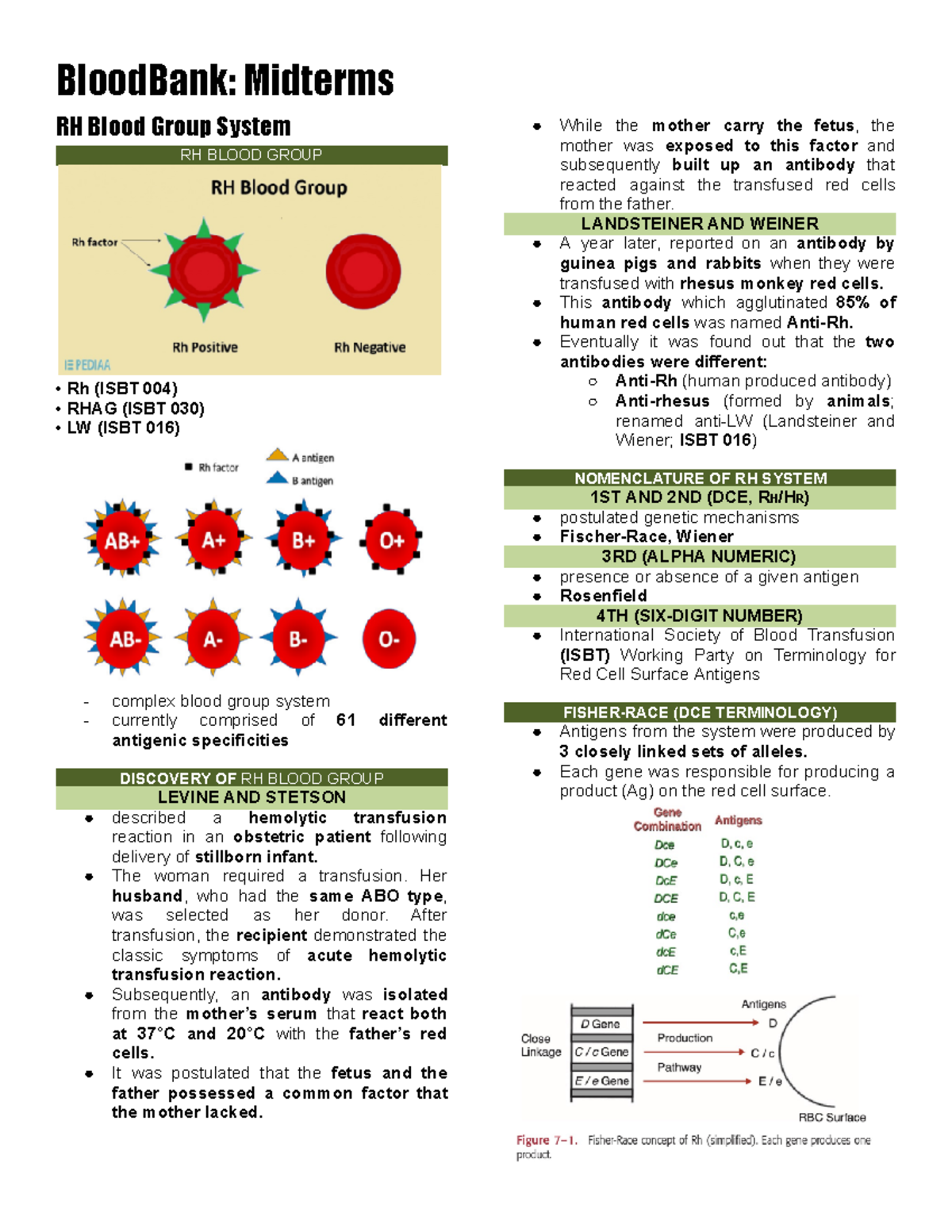 01- blood group system - BloodBank: Midterms RH Blood Group System RH ...