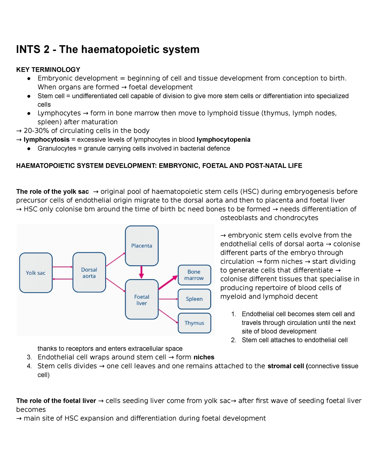 ints-2-the-haematopoietic-system-ints-2-the-haematopoietic-system