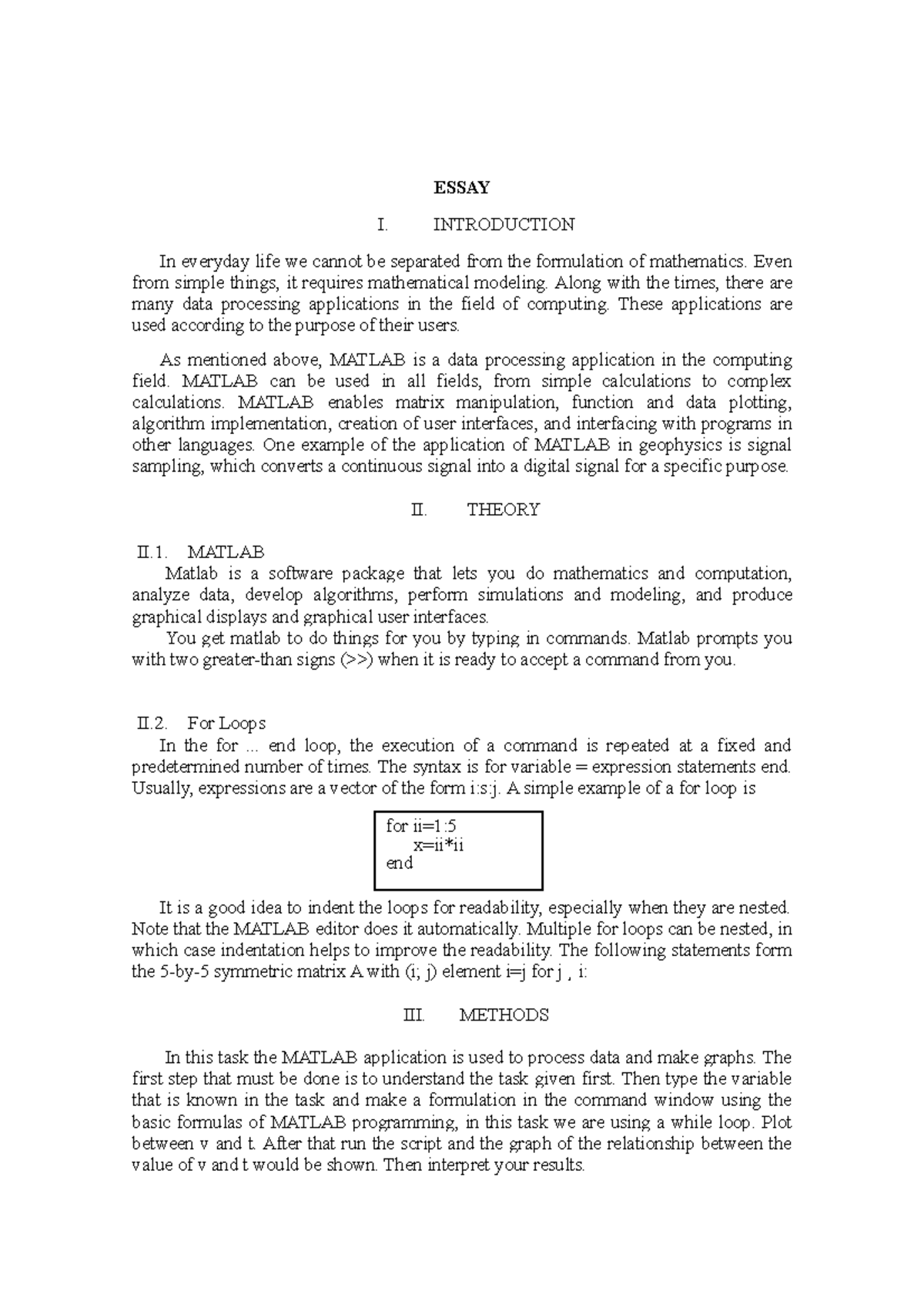 essay on programming language