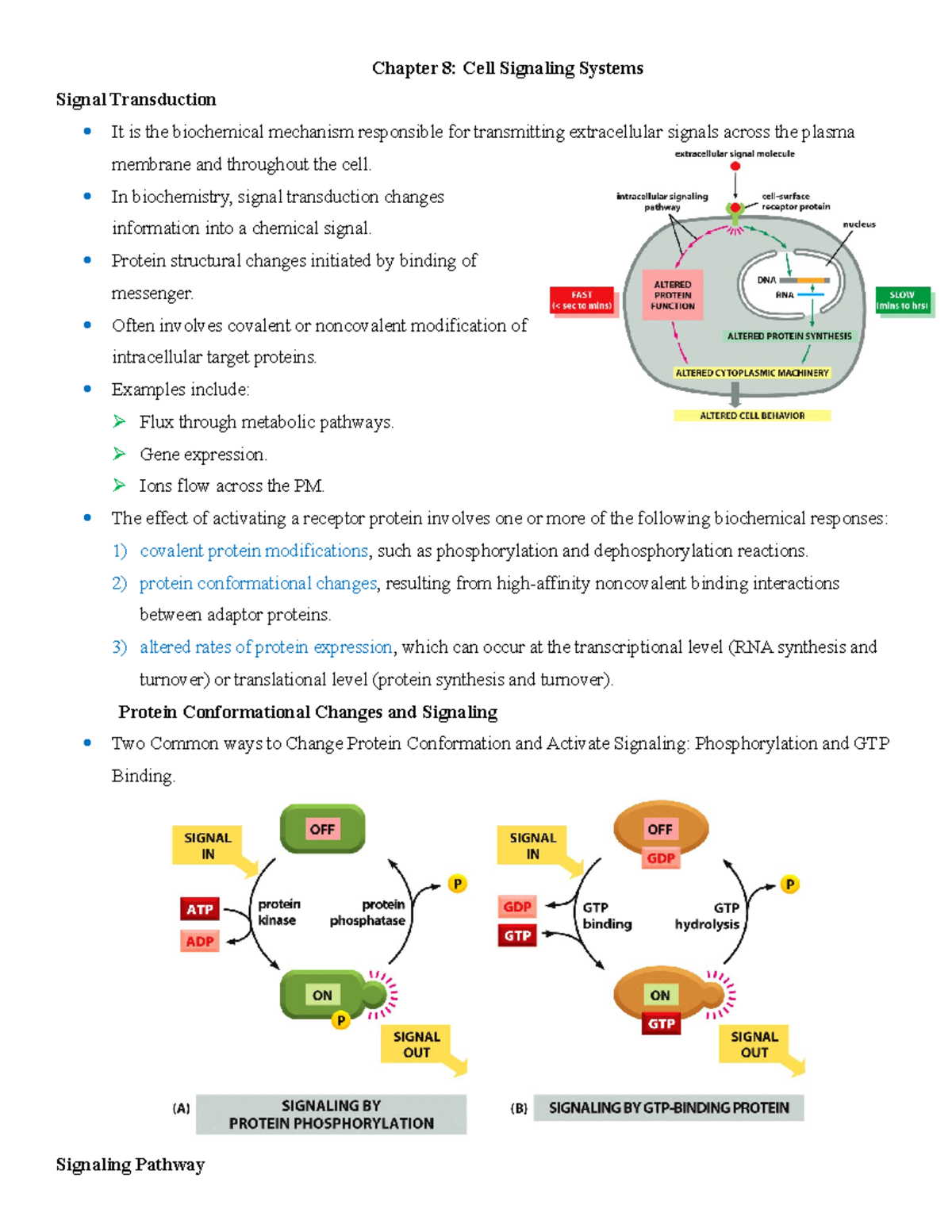 CH 8 Summary - Chapter 8: Cell Signaling Systems Signal Transduction It ...