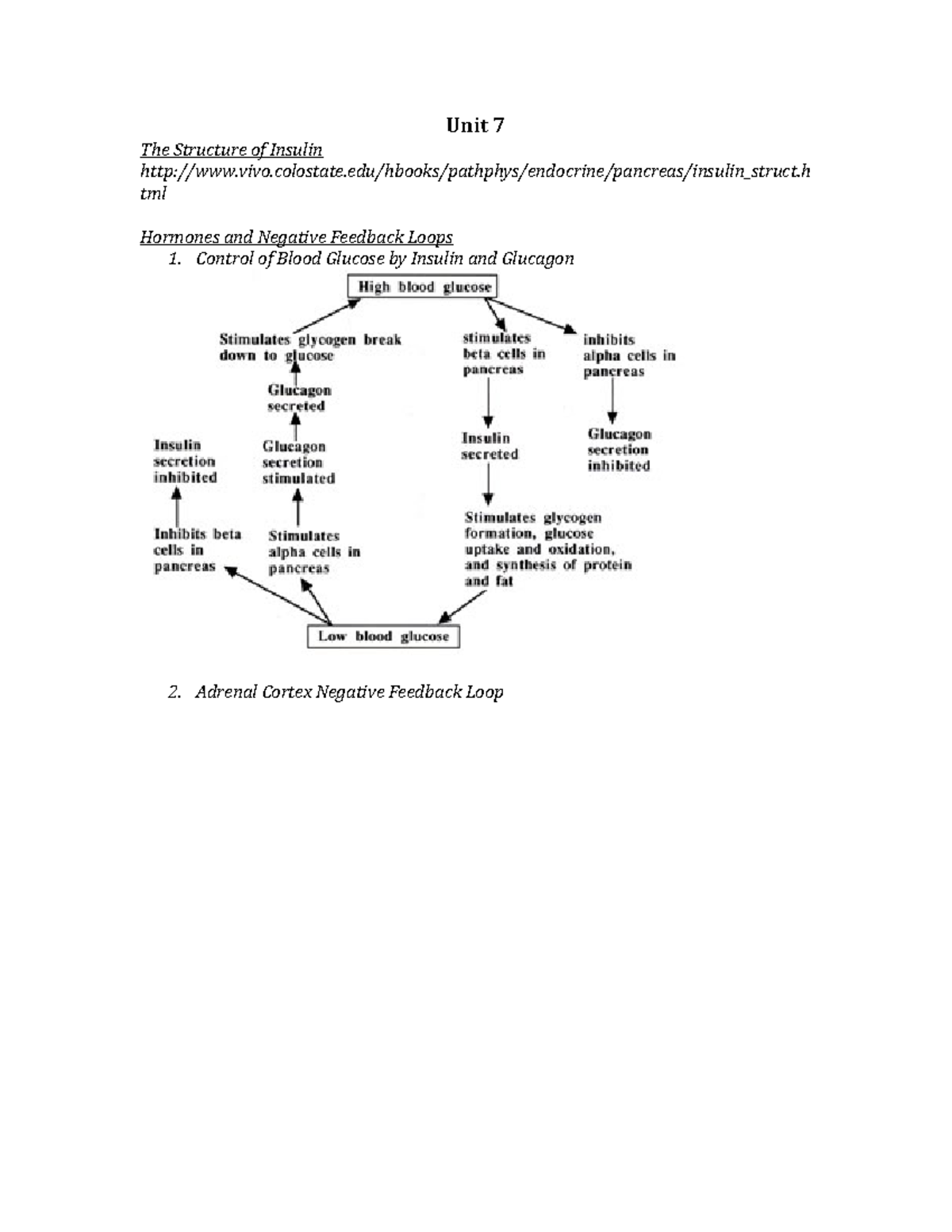 Unit 7 - Lecture notes 7 - The Structure of Insulin Unit 7 - Studocu