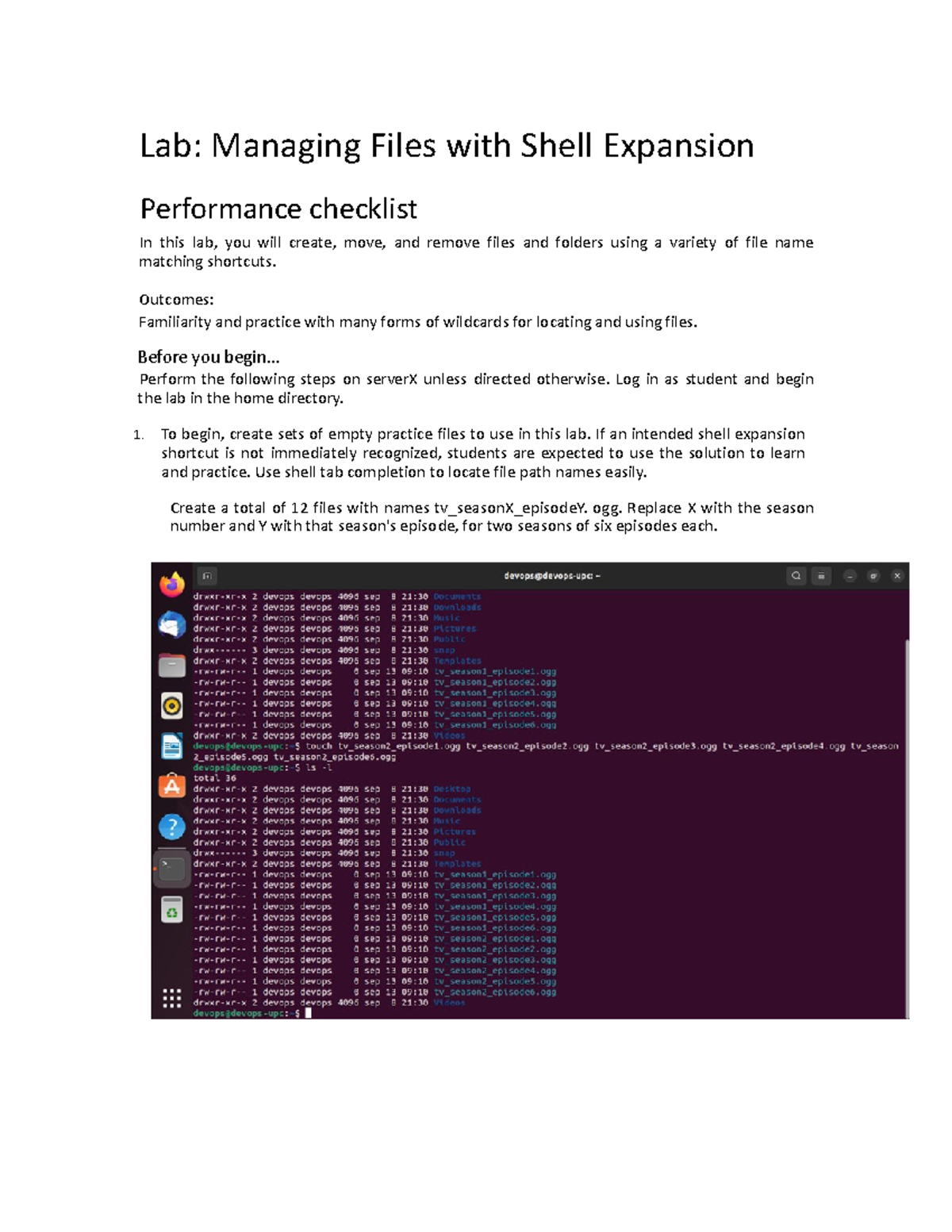Lab Managing Files with Shell Expansion Lab Managing Files with
