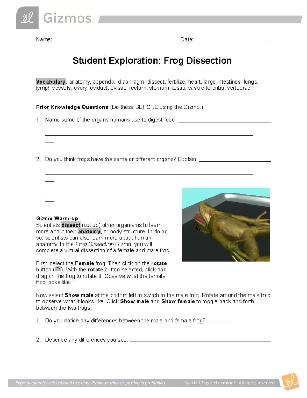 Frog Dissection SE argarararea Name Date Student Exploration