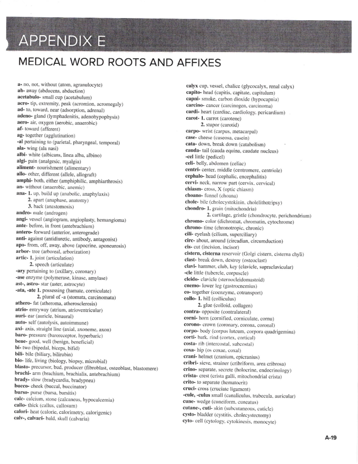 Appendix E vocab to memorize APPENDIX E MEDICAL WORD ROOTS AND AFFIXES ai no, not, without