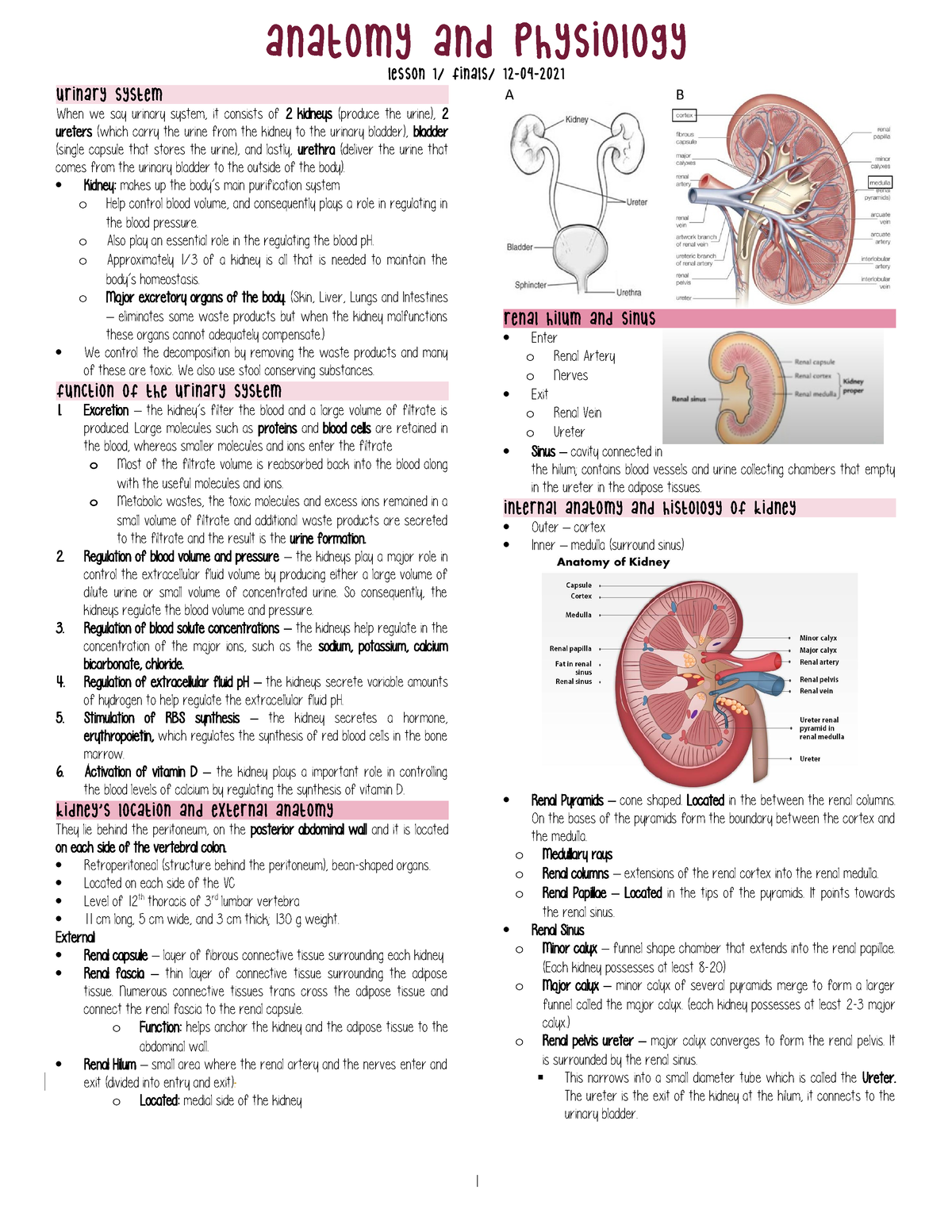 Lesson 1 Urinary System - Lesson 1  Finals  12-04- Urinary System When 