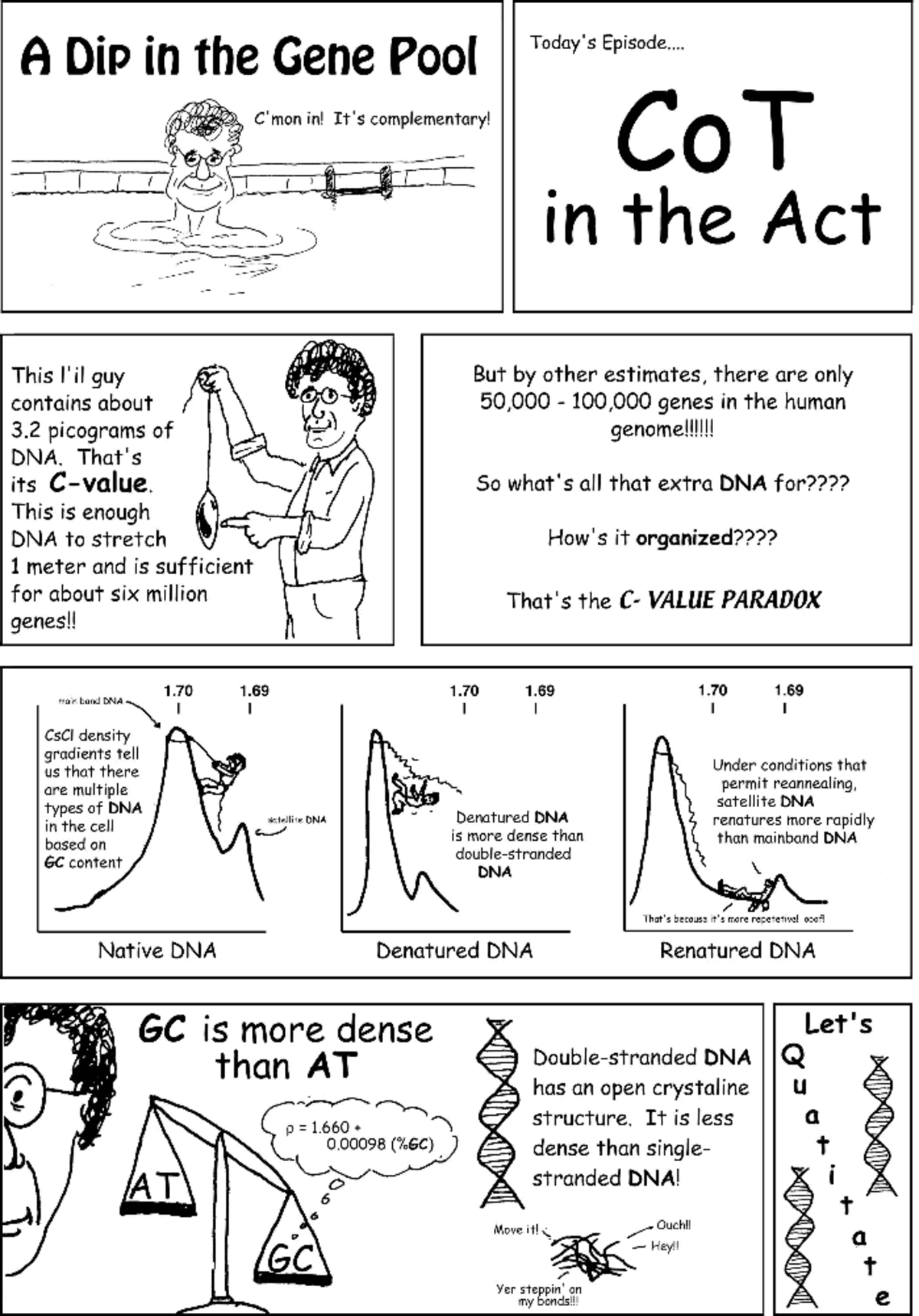 Cot value Dr. Chandra Biotechnology Studocu