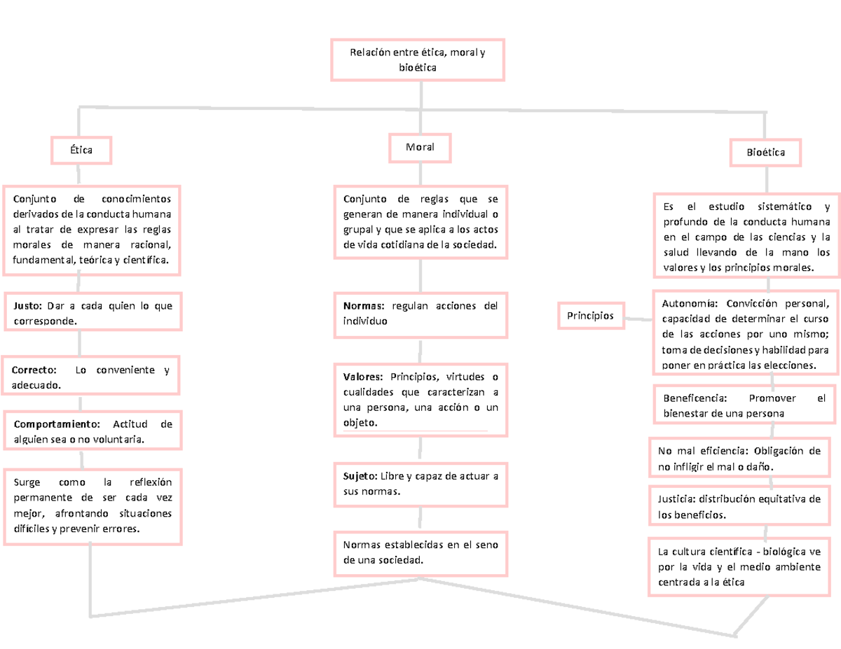 Mapa Conceptual Principios De La Bioetica Kulturaupic 1344