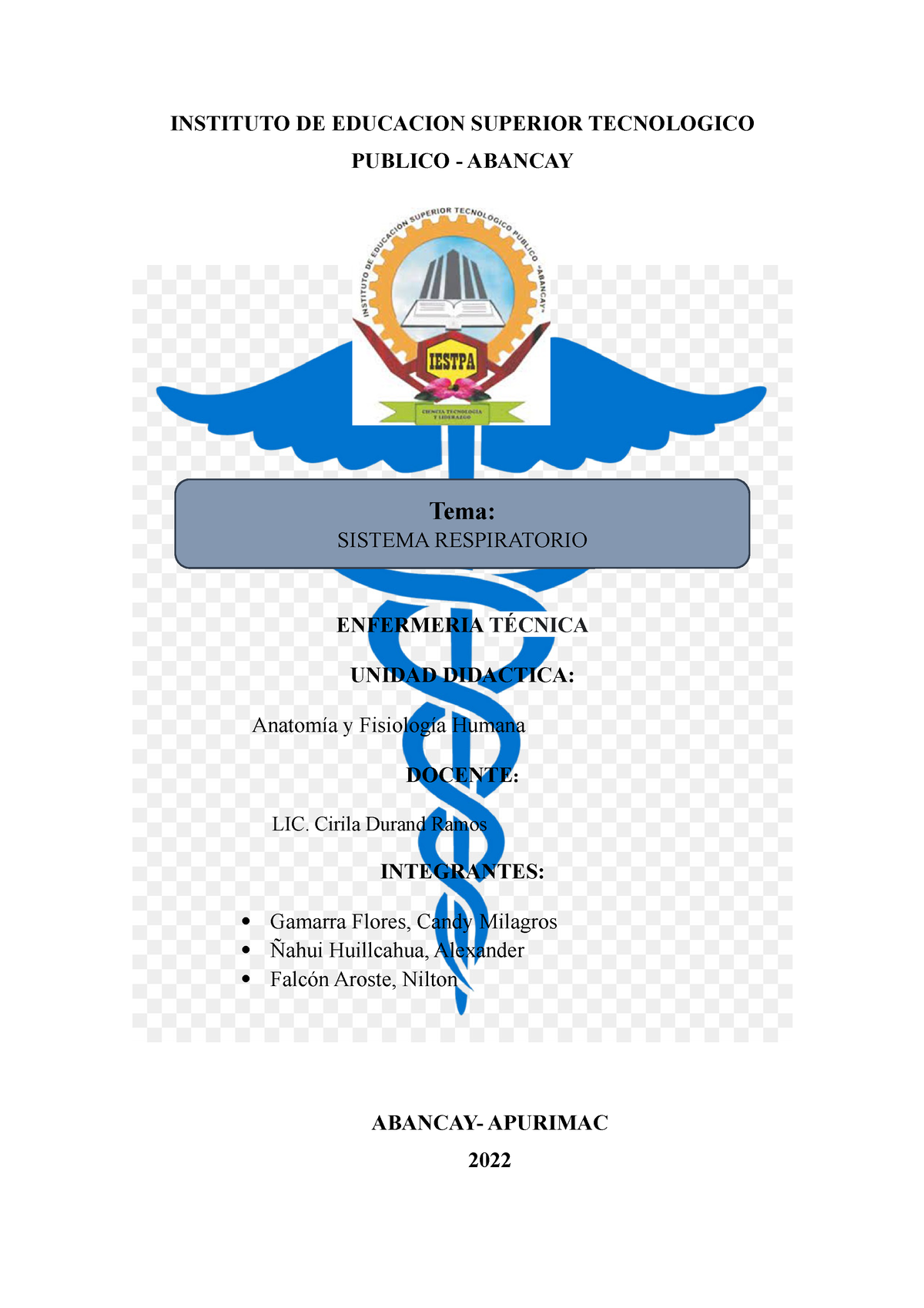 Sistema Respiratorio Instituto De Educacion Superior Tecnologico Publico Abancay Enfermeria 5223