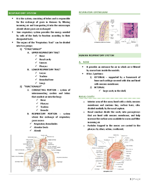 RDT 103 Transes - 2nd sem - characteristics Radiologic technology |2nd ...