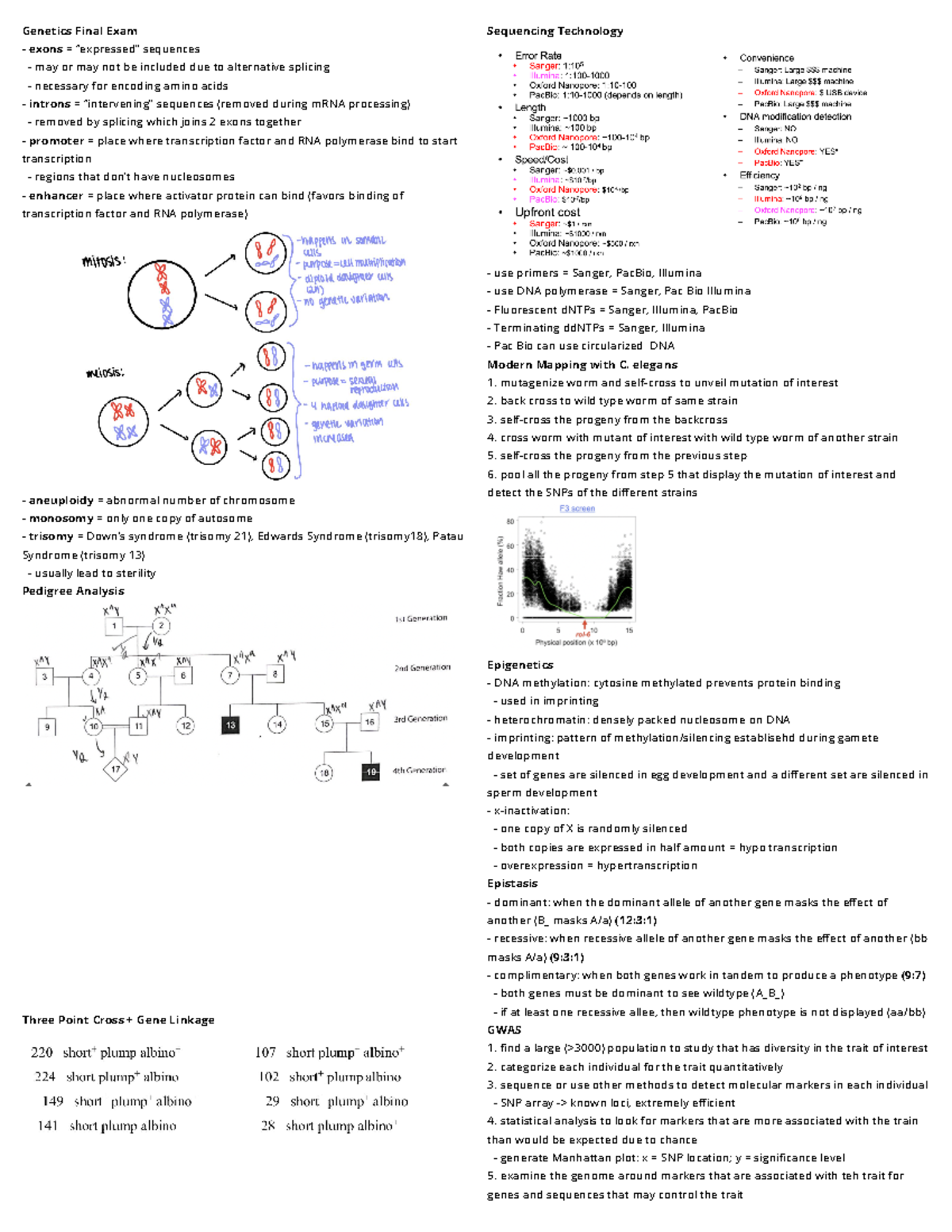 Final Notes Final Exam exons = “expressed