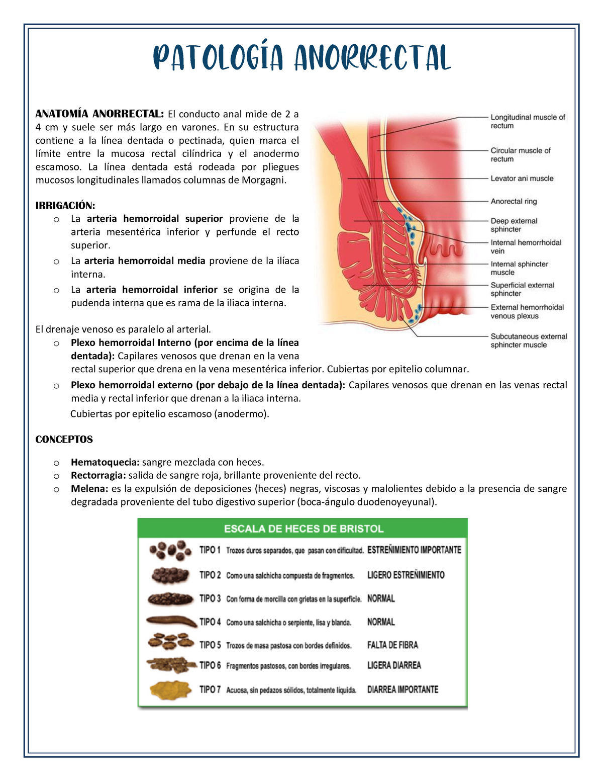 Patologia Anorrectal Guía De Patología Anorectal AnatomÍa Anorrectal El Conducto Anal Mide 2087